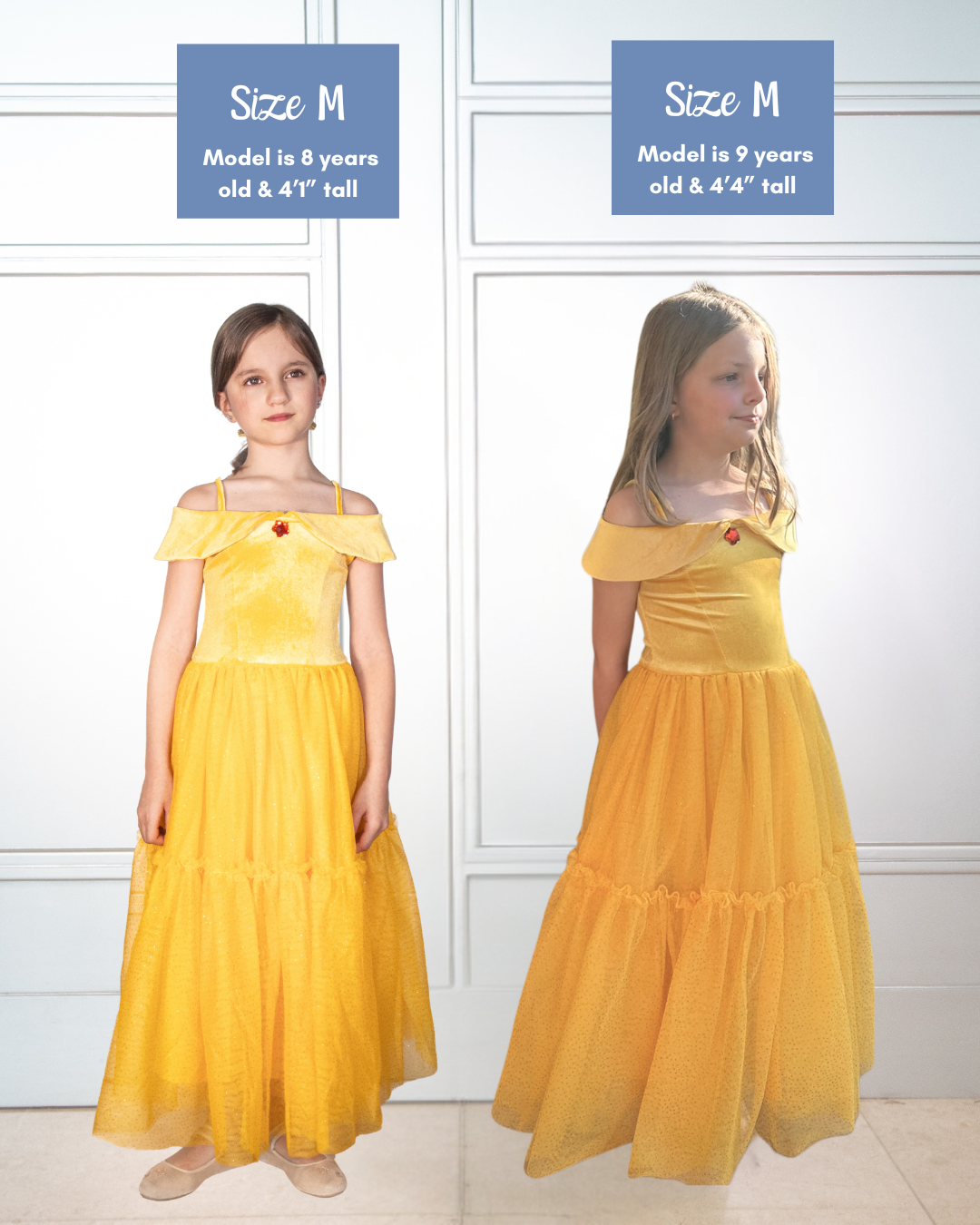 Joy Costumes Enchanted Rose Princess Costume