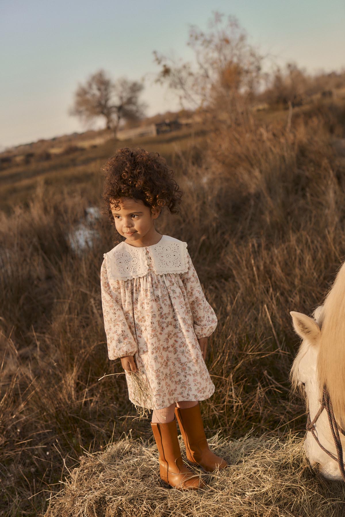 Louise Misha Arinola Dress in Carnation Vale Cream, front view
