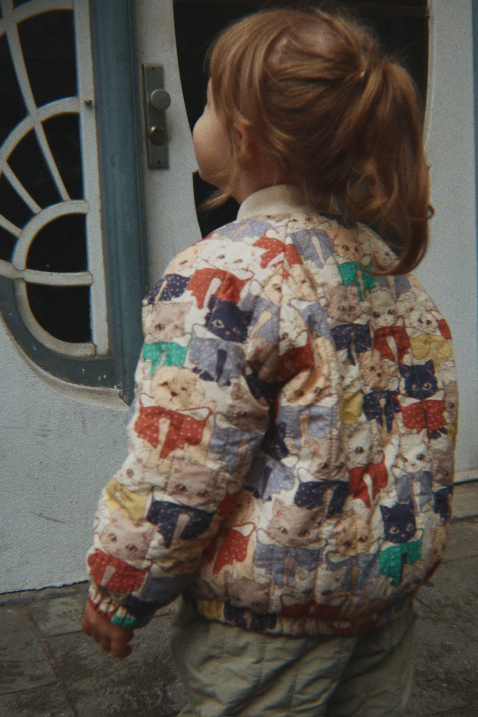 JUNO BOMBER JACKET - like cats and dogs