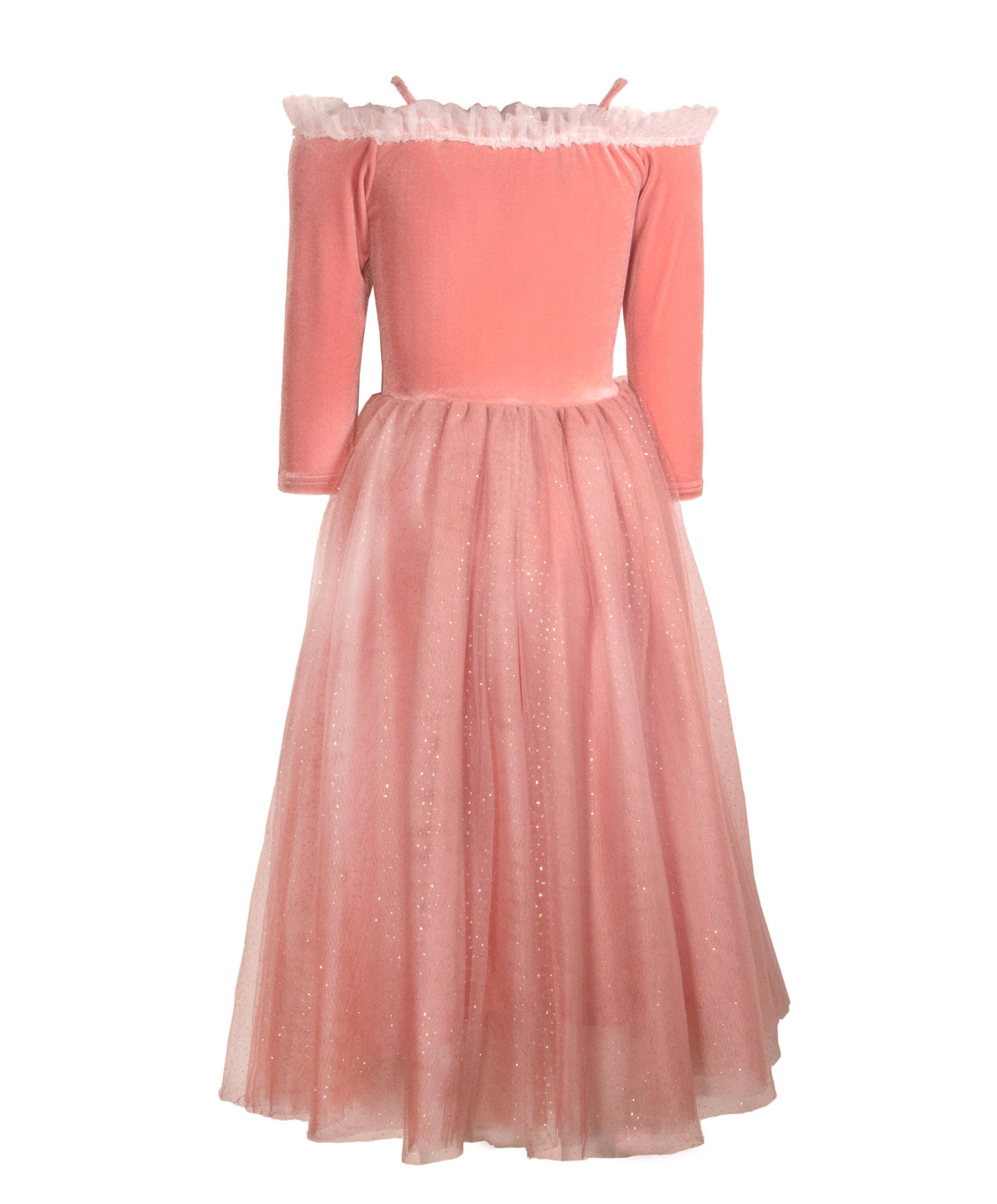 Joy Costumes Briar Rose Costume