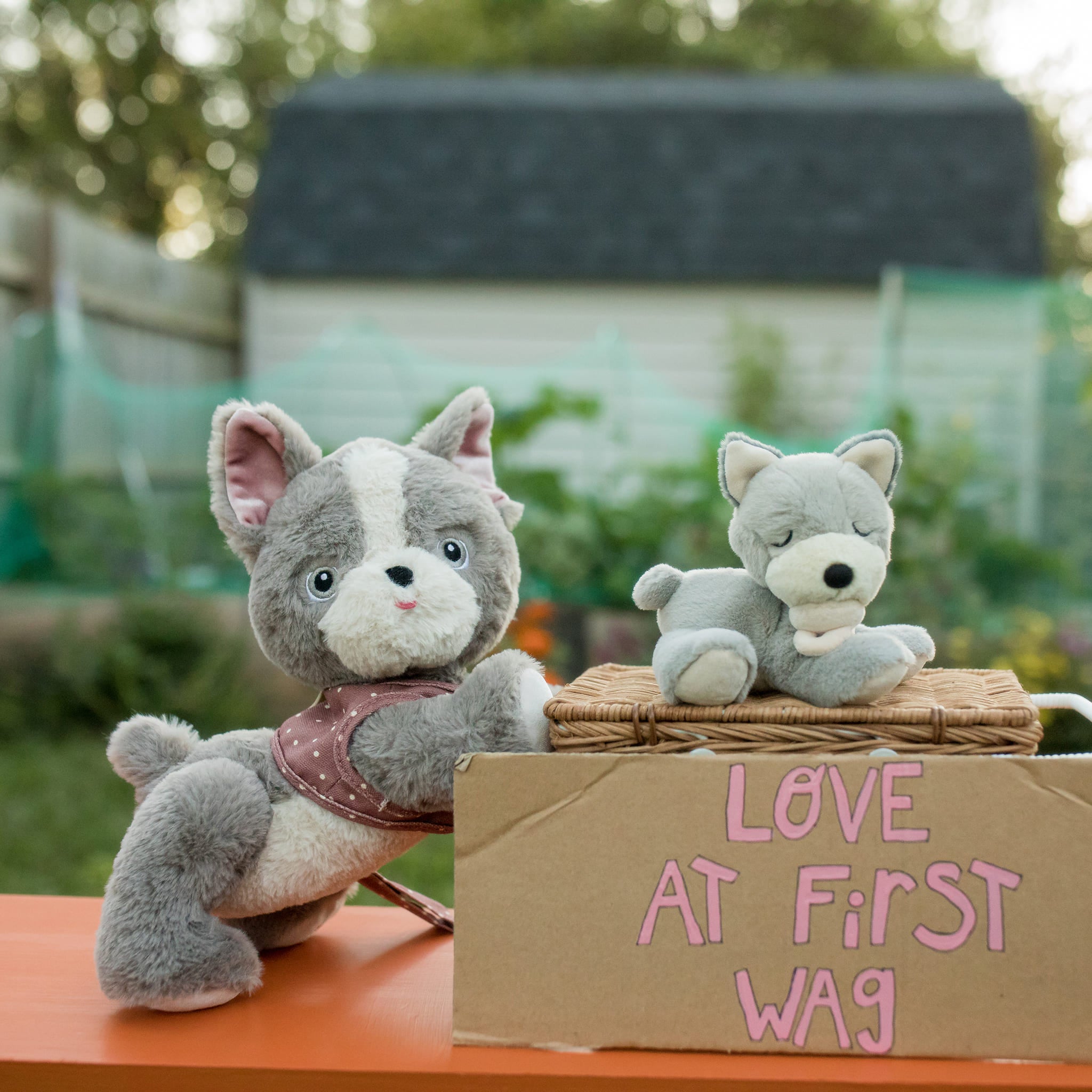 Dinkum Dogs - Gizmo Olli Ella