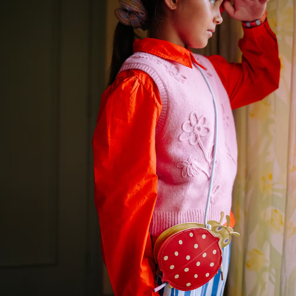 Sticky Lemon Wallet Bag -Ladybird