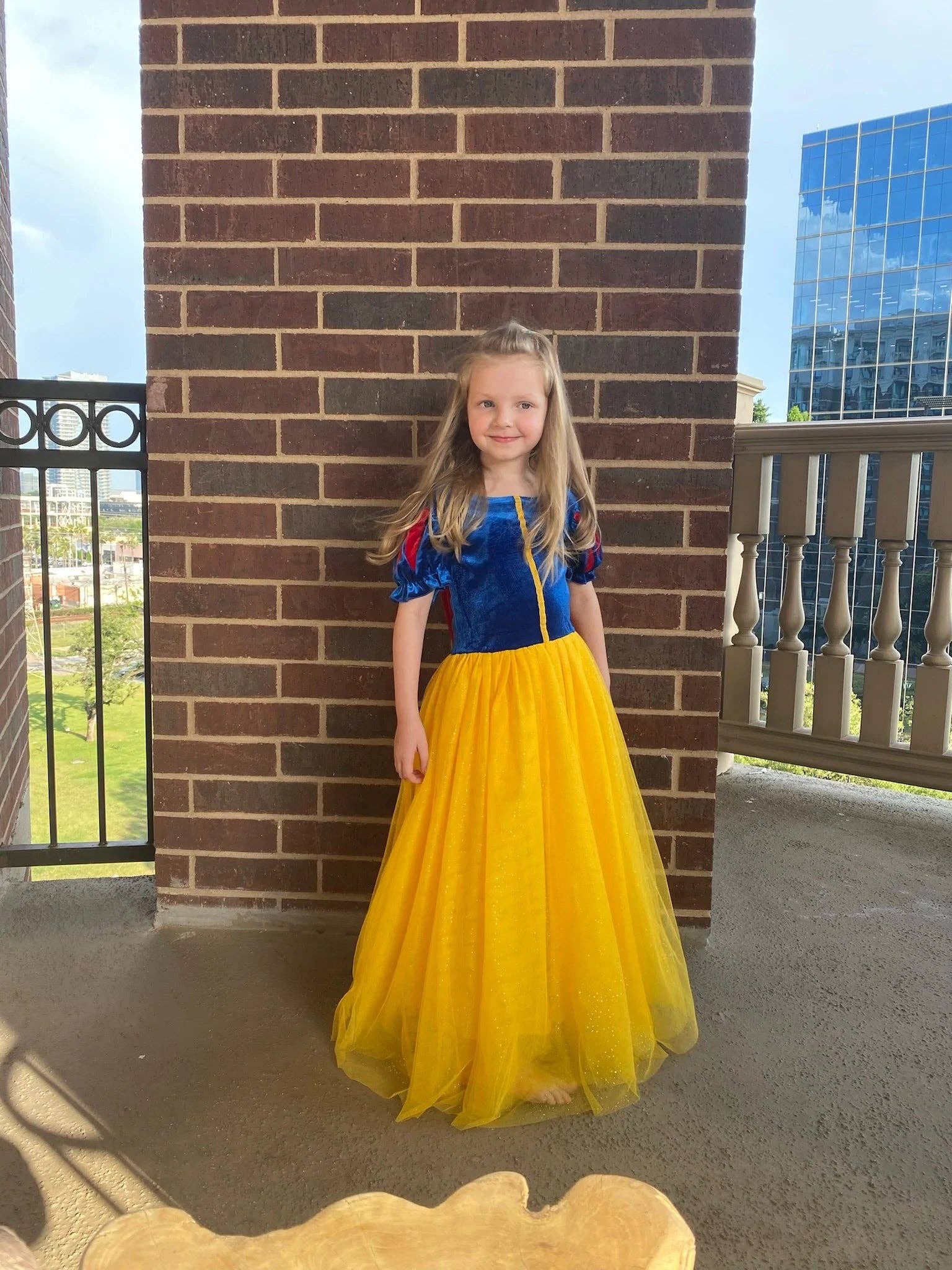 Joy Costumes Fairest Princess Costume