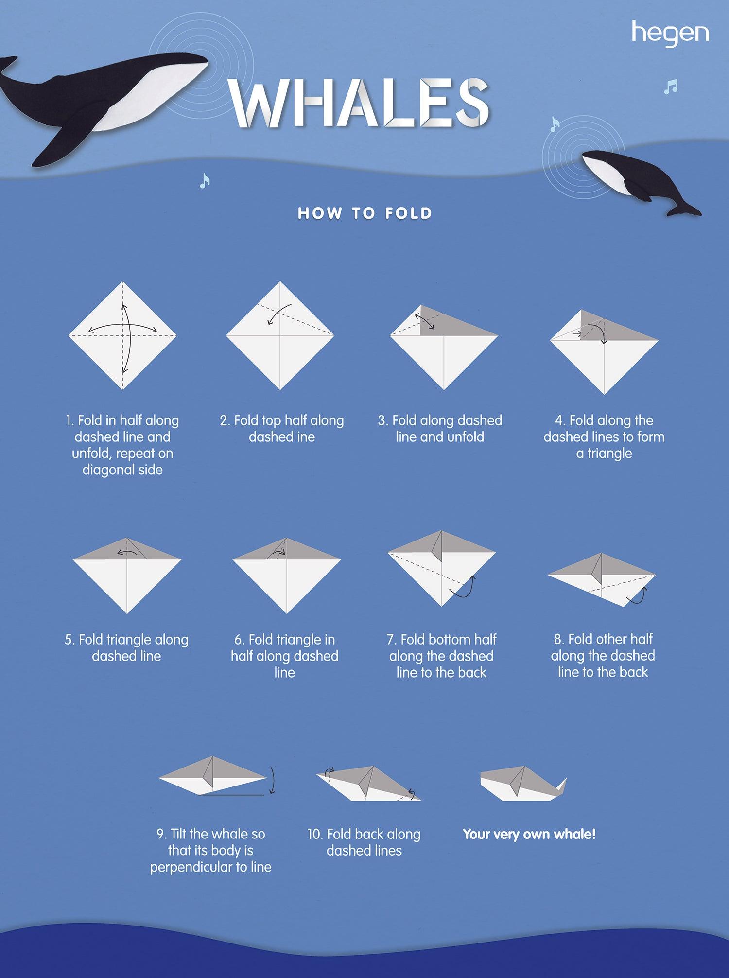 Hegen PCTO™ Wonder Blue Collection Hegen