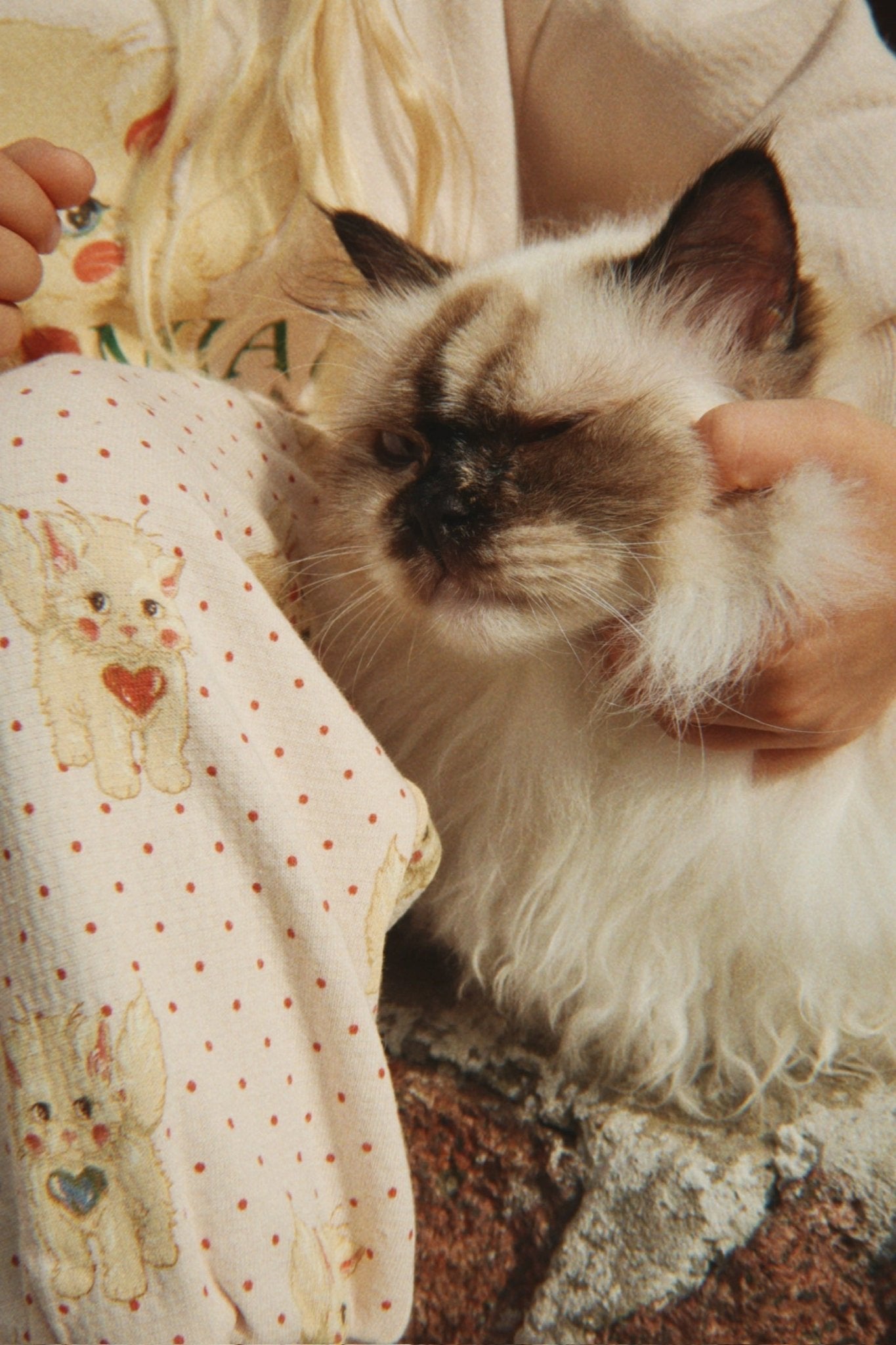 Konges Sløjd BELLI SWEAT PANTS - miao amore Konges Sløjd Limited Collection