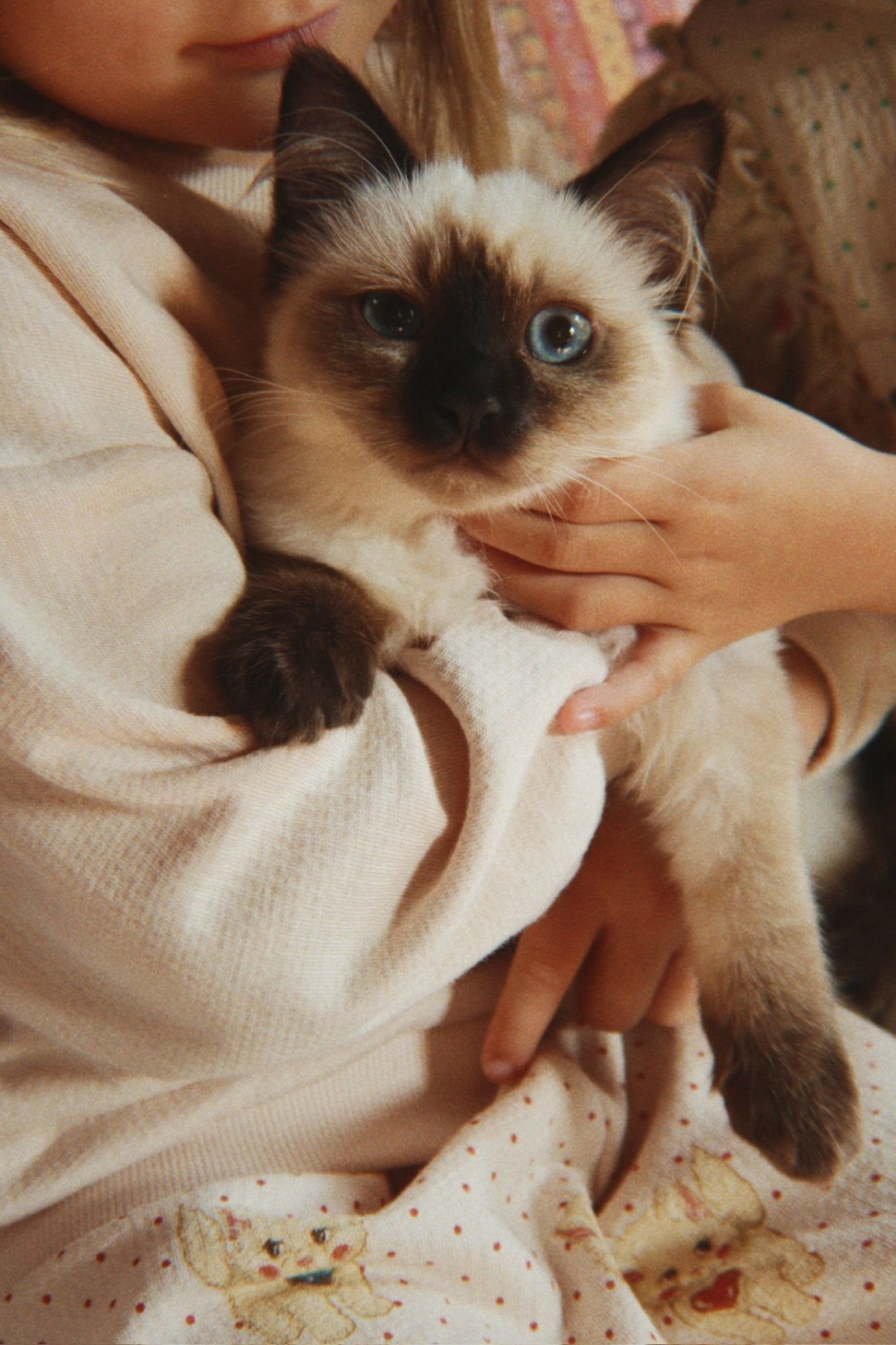 Konges Sløjd BELLI SWEAT SHIRT - whisper pink Konges Sløjd Limited Collection