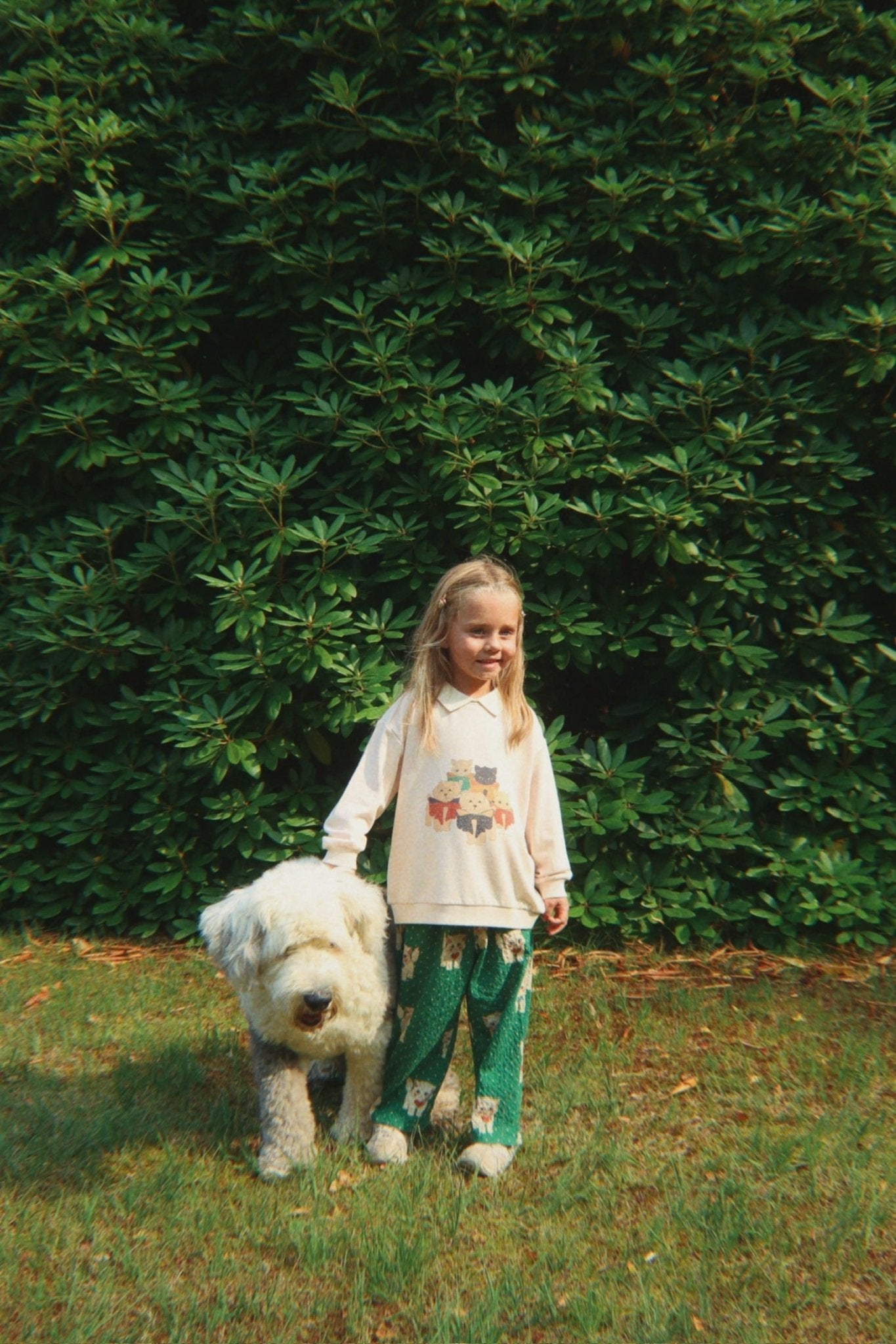 Konges Sløjd ELIN PANTS - dot miao verde Konges Sløjd Limited Collection