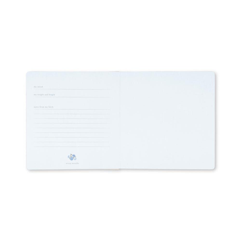 Konges Slojd - The Book Of You Konges Sløjd