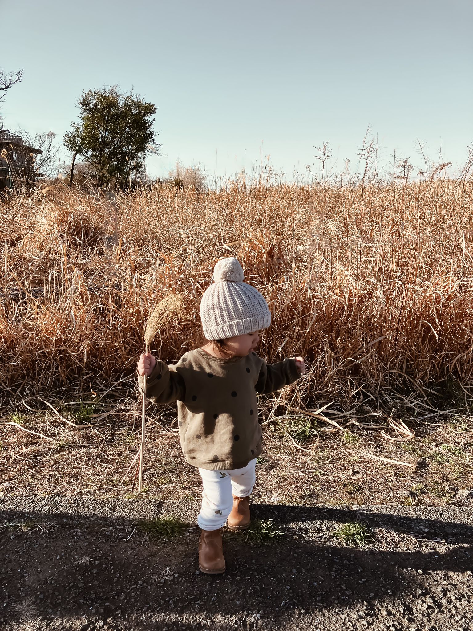 Olive Dots Sweatshirt Organic Zoo