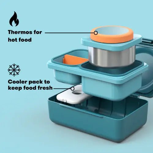 OmieLife - Omie lunch box: Teal Green OmieLife