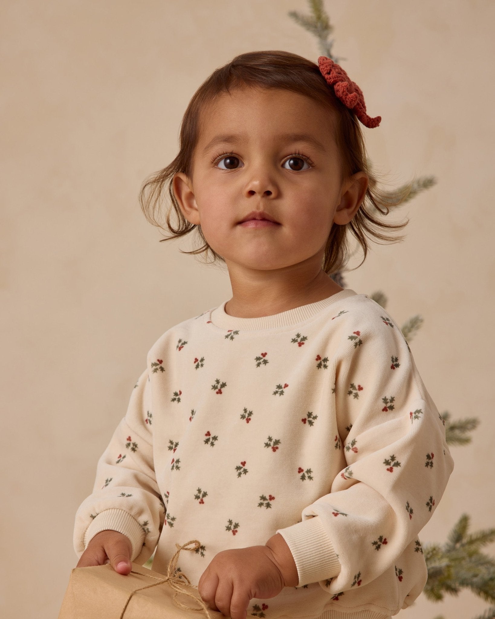Quincy Mae Velour Relaxed Sweatshirt || Holly Berry Quincy Mae
