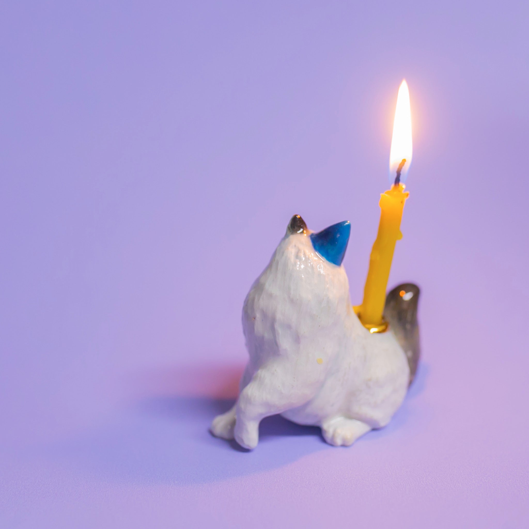 Camp Hollow Ragdoll Cat Birthday Candle Holder | Porcelain Cake Topper