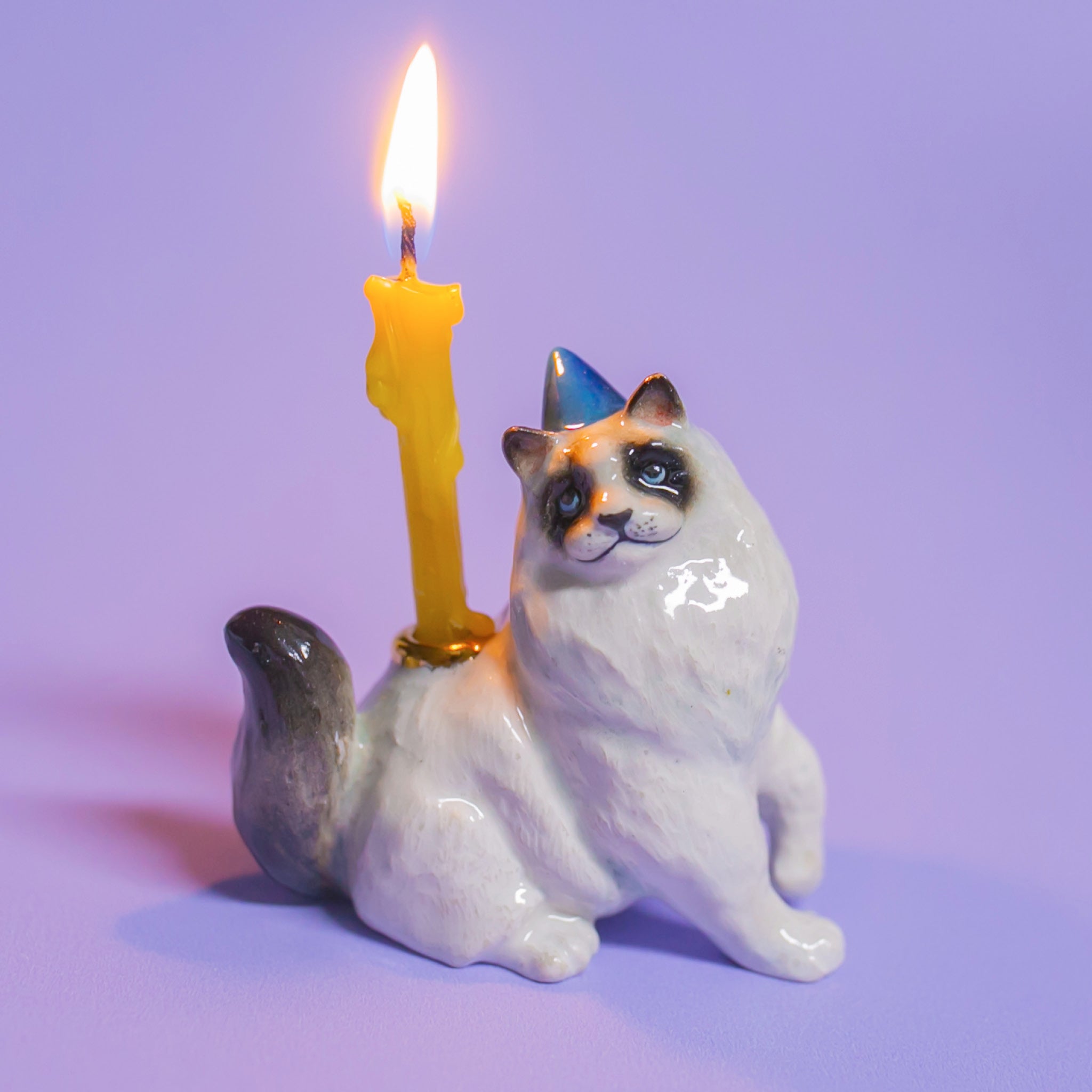 Camp Hollow Ragdoll Cat Birthday Candle Holder | Porcelain Cake Topper