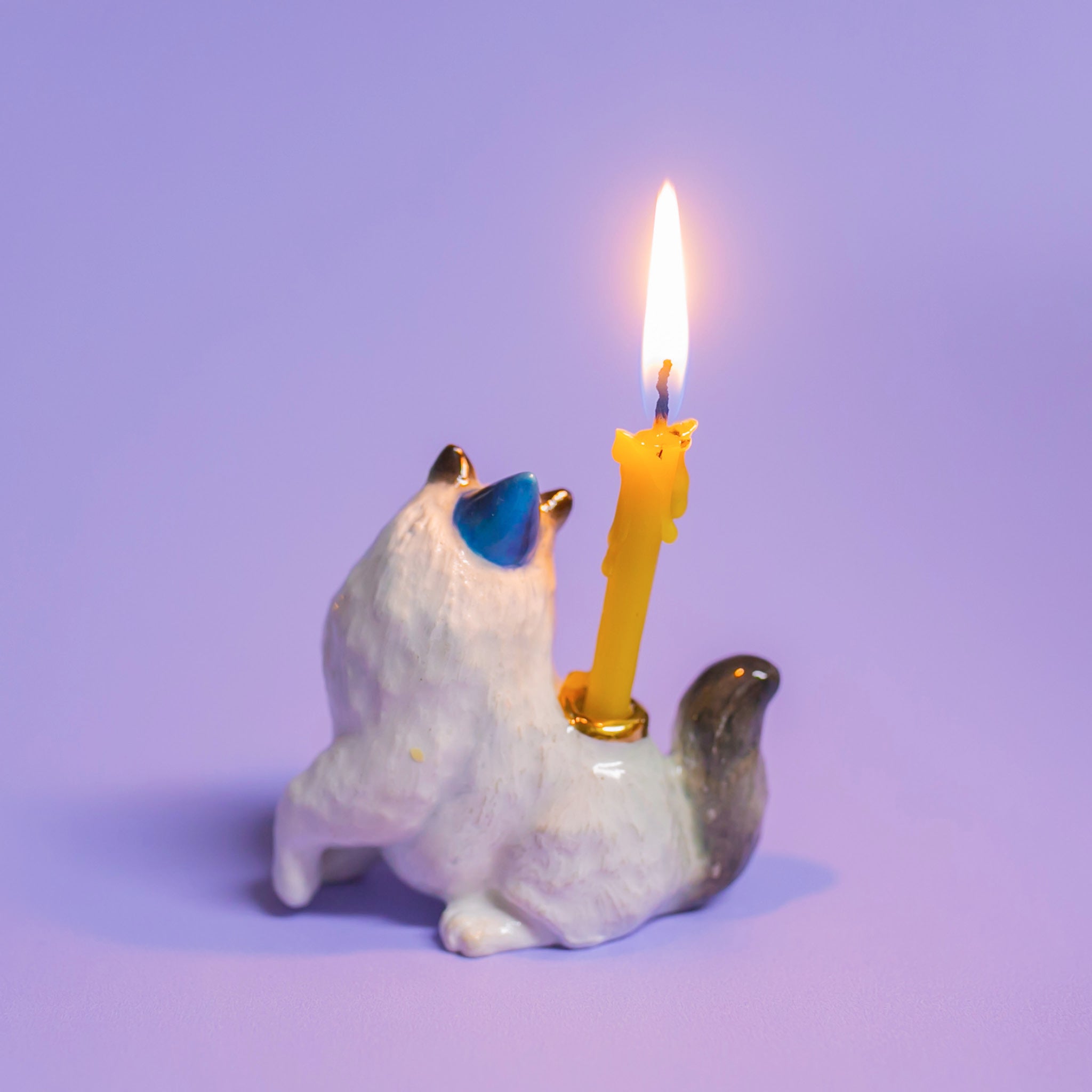 Camp Hollow Ragdoll Cat Birthday Candle Holder | Porcelain Cake Topper