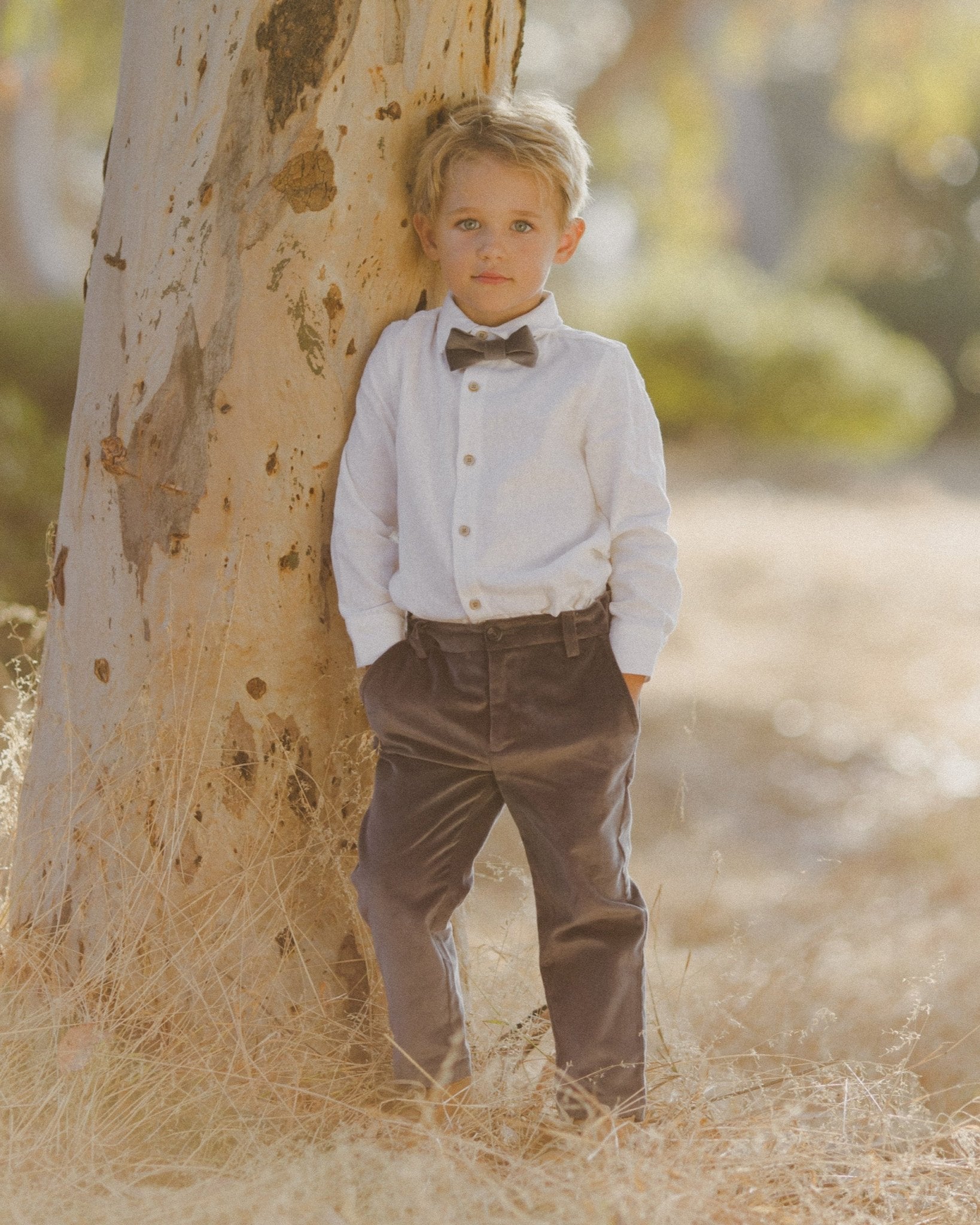 Noralee Sebastian Pant || Midnight Noralee