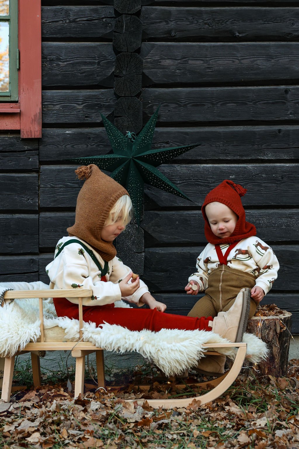 Silly Silas Footless Acorn Brown x Maple Leaf - Christmas Limit Edition Silly Silas