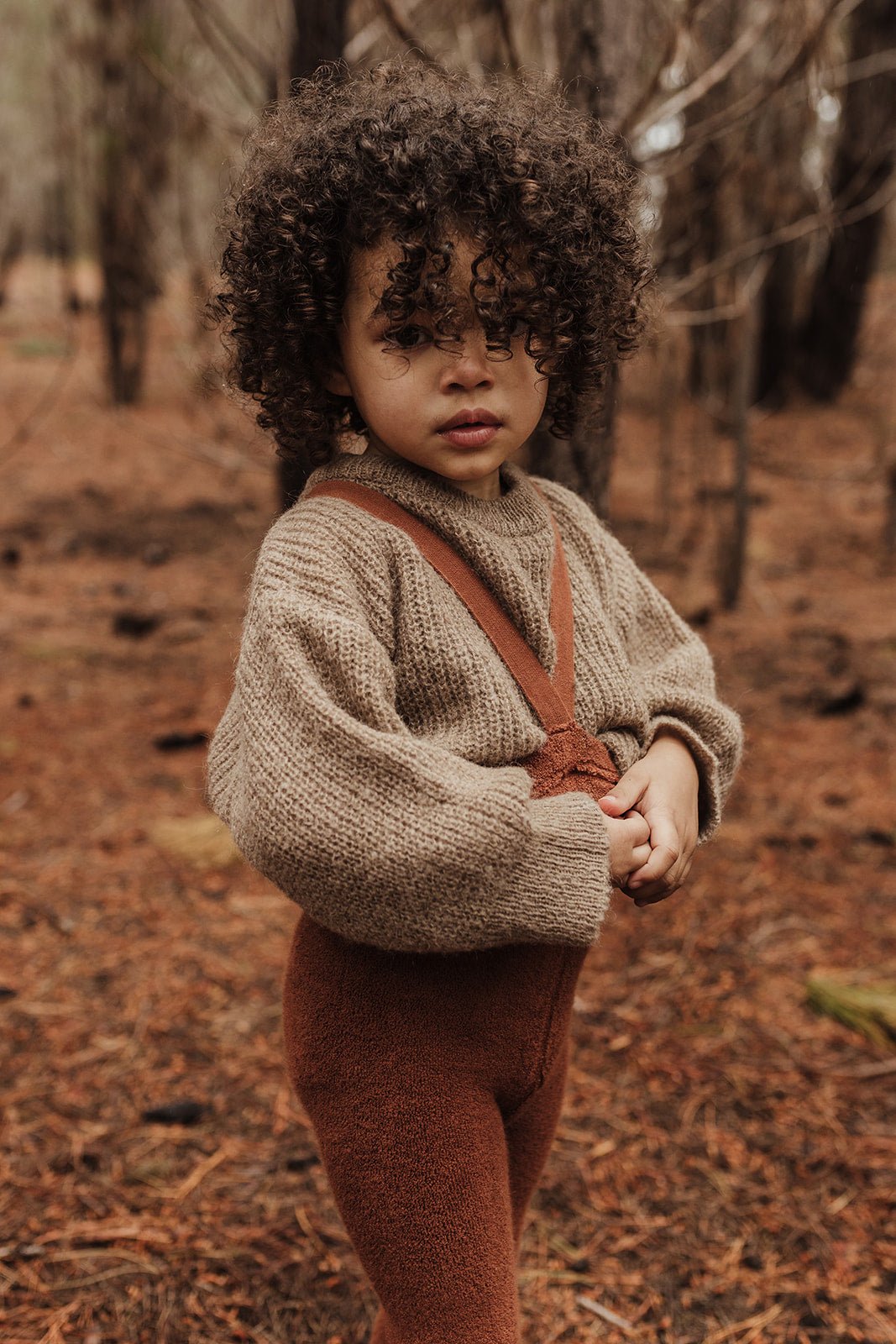 Silly Silas Teddy Cinnamon Footless Silly Silas