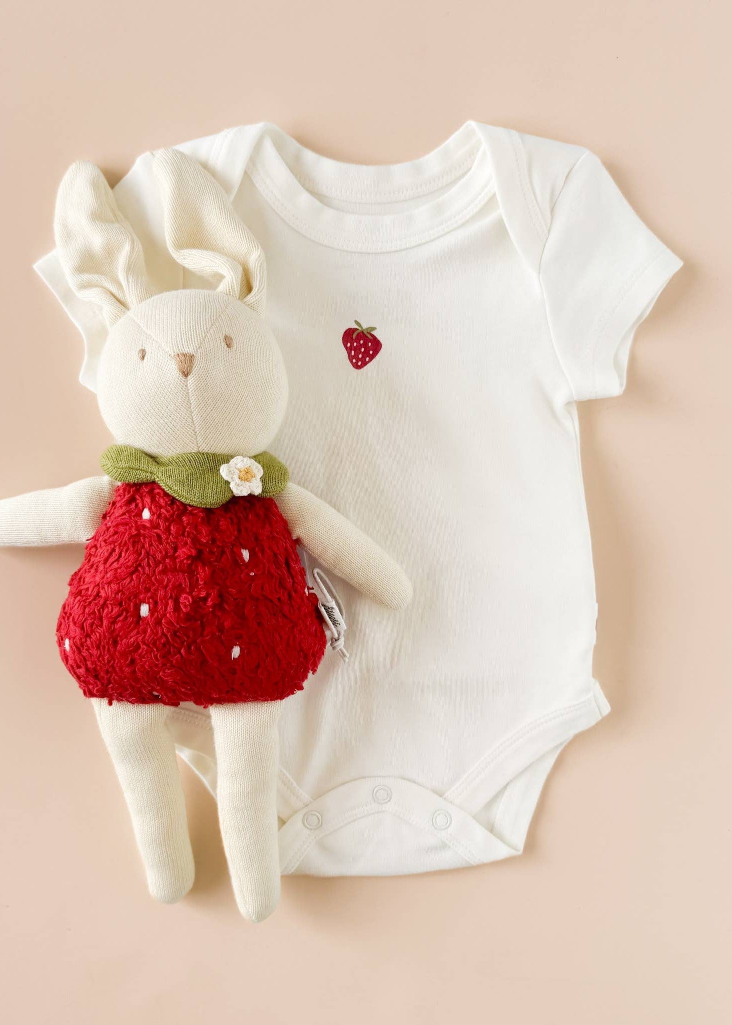 The Blueberry Hill - Strawberry Onesie Baby Bodysuit Organic Graphic Tee Gift (0 - 6month) The Blueberry Hill