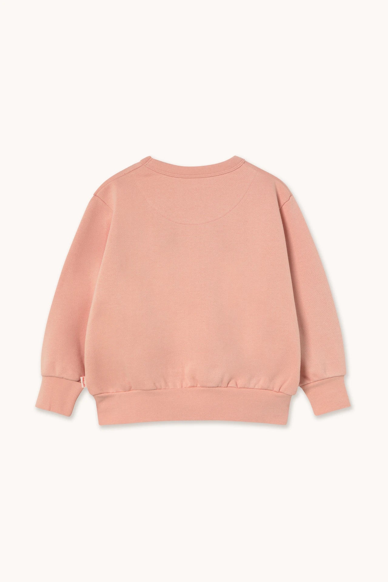 Tinycottons Walk Graphic Baby sweatshirt Tinycottons