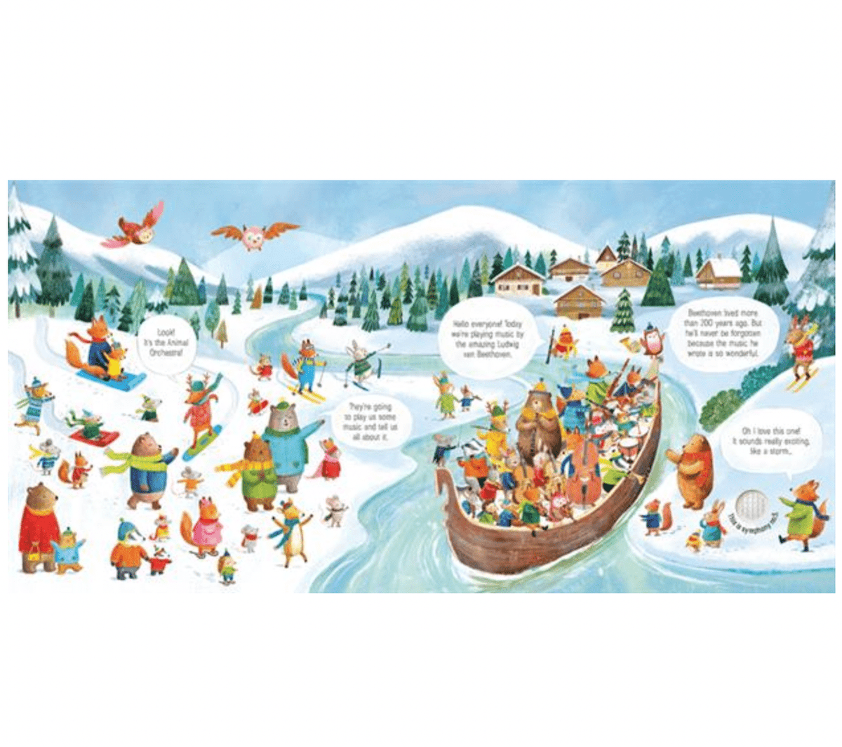 Usborne Animal Orchestra Plays Beethoven, The (IR) usborne