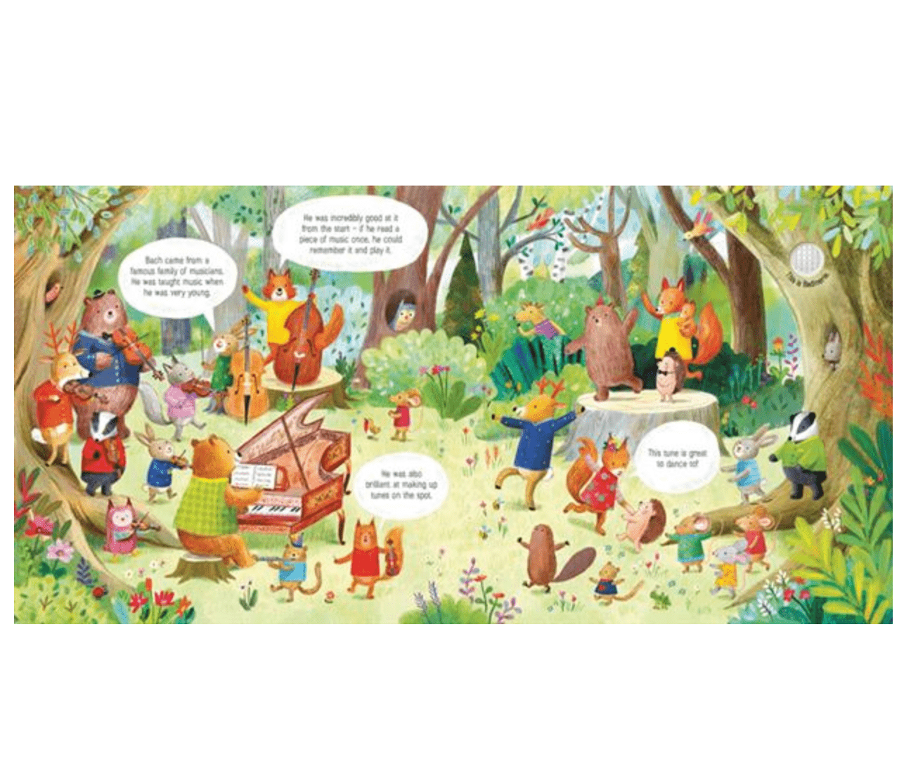 Usborne Animal Orchestra Plays Mozart, usborne