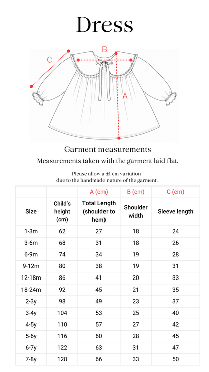 Carlota Suip Midnight Waltz Dress detail