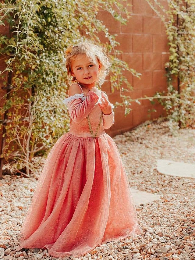 Joy Costumes Briar Rose Costume