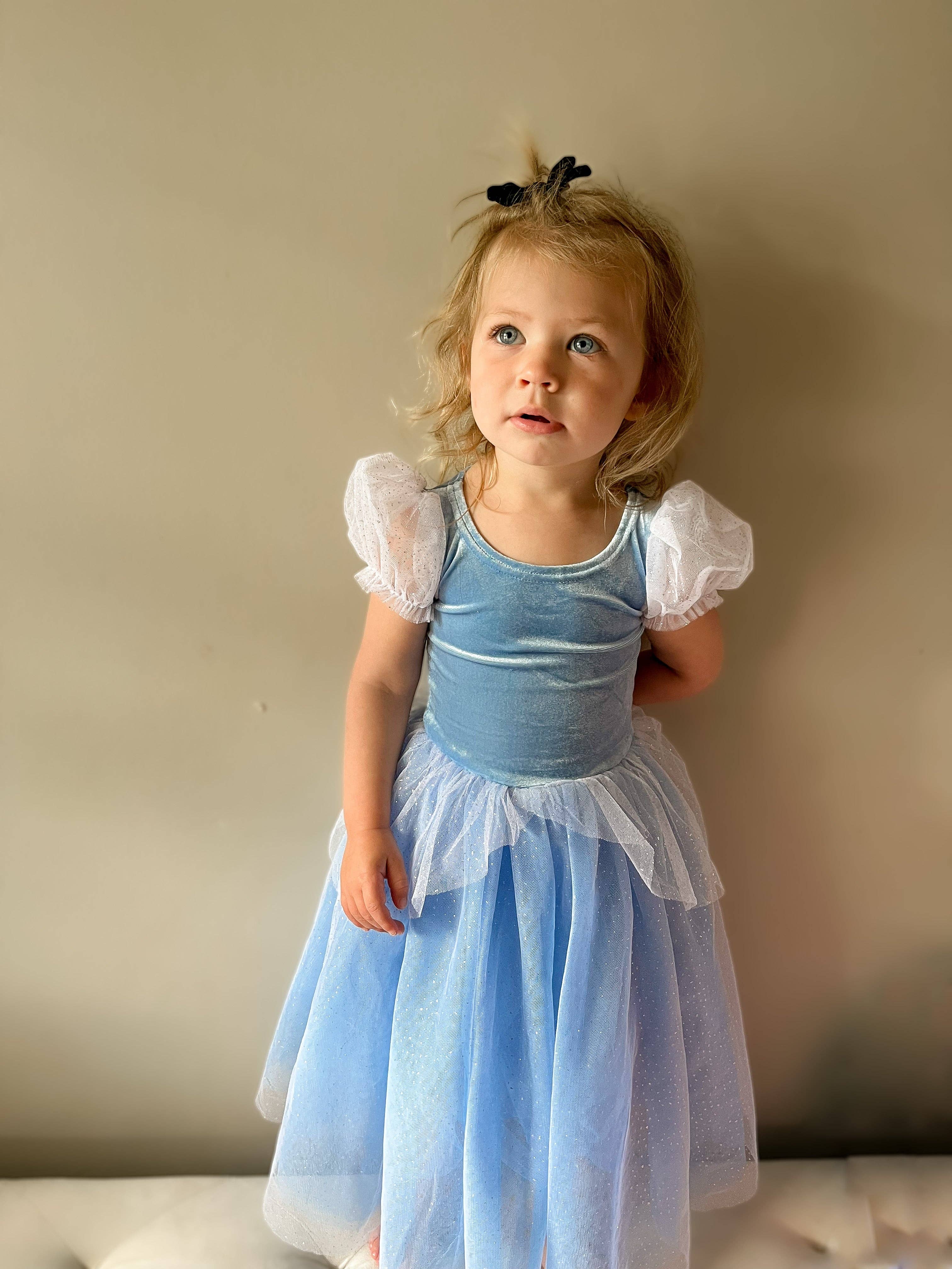 Joy Costumes Cinderella Costume