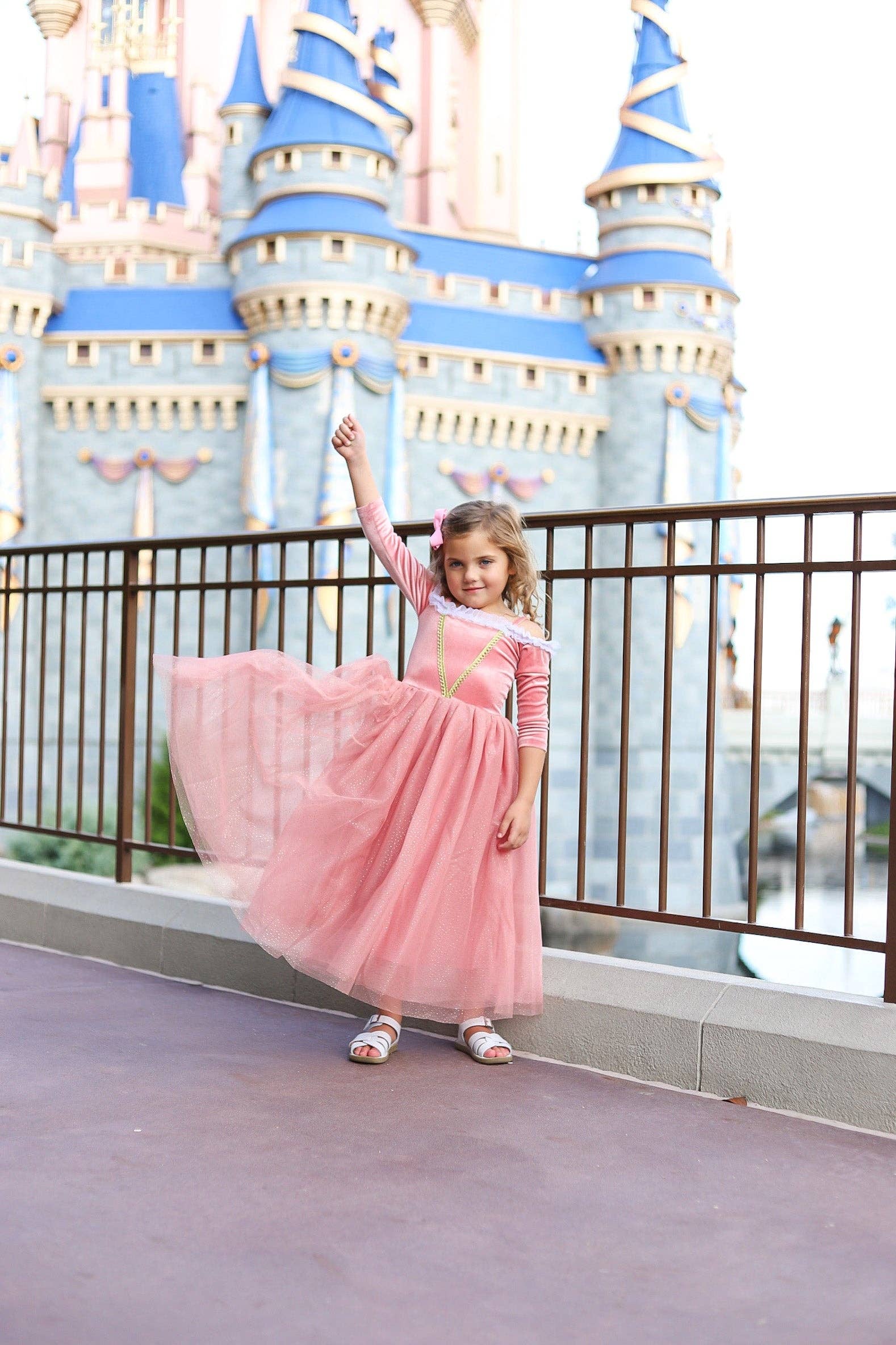 Joy Costumes Briar Rose Costume
