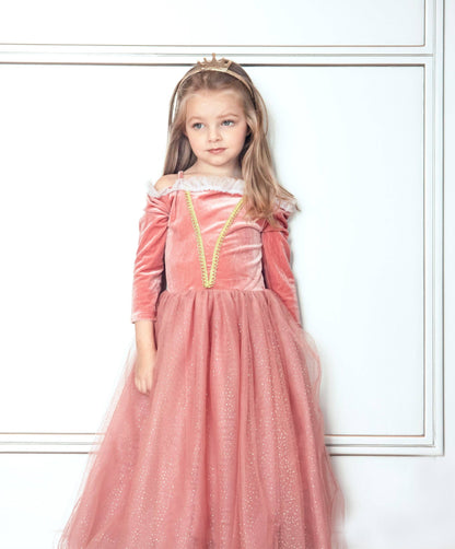 Joy Costumes Briar Rose Costume