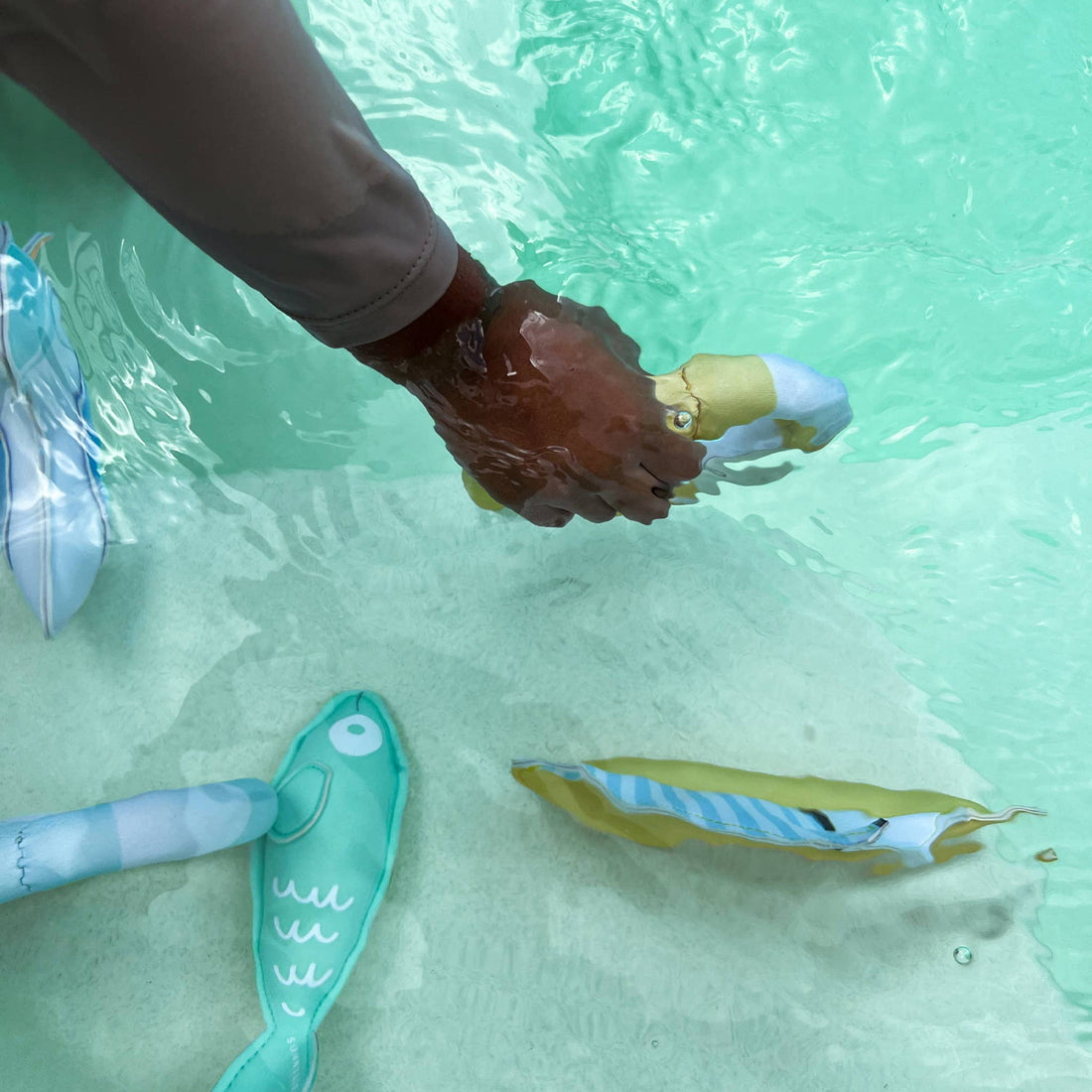 Sunnylife Dive Buddies Set of 6 – Sammy the Seagull