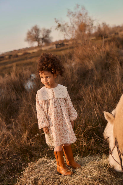 Louise Misha Arinola Dress in Carnation Vale Cream, front view