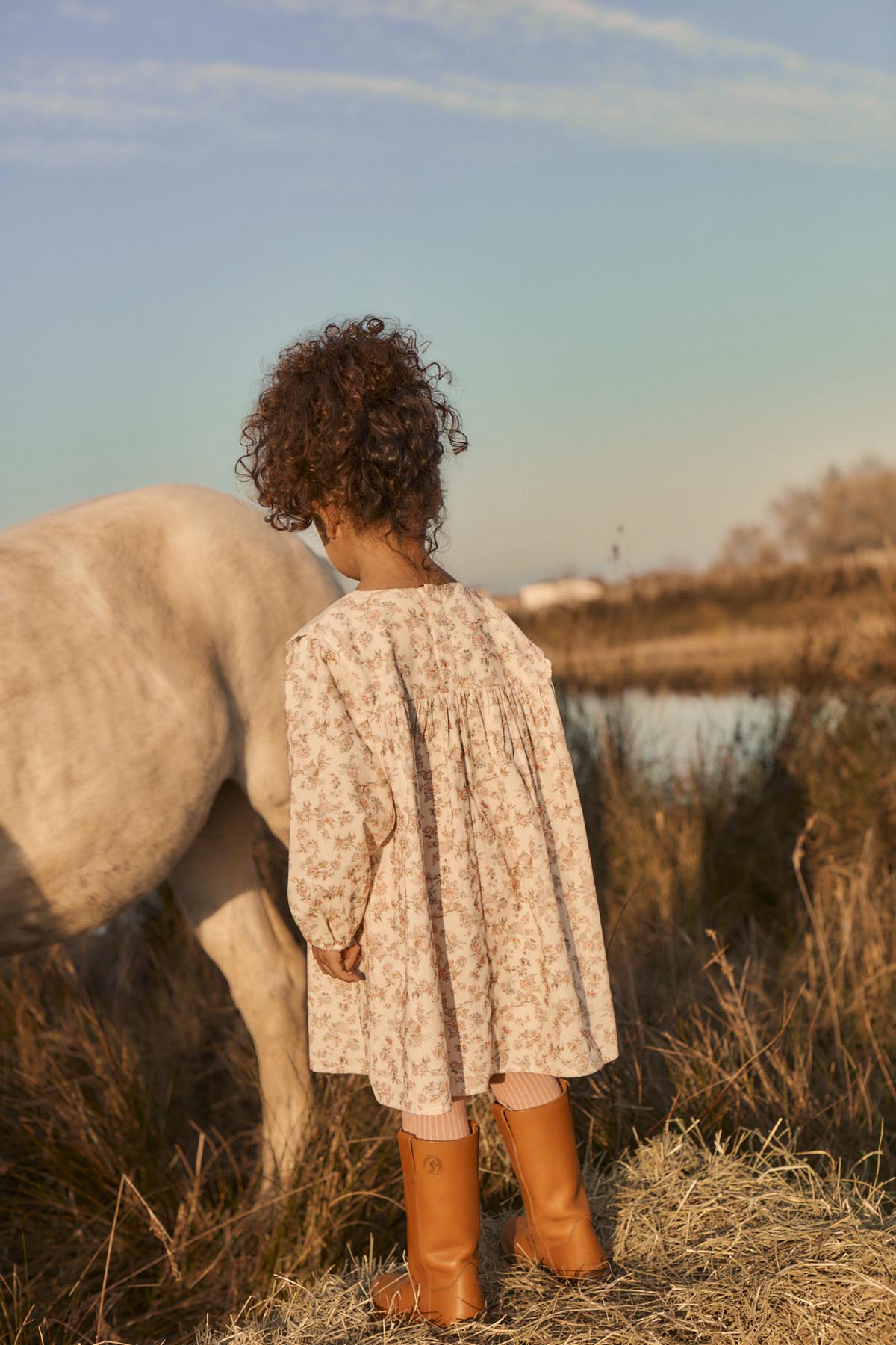 Louise Misha Arinola Dress in Carnation Vale Cream, back view
