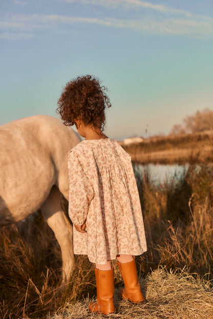 Louise Misha Arinola Dress in Carnation Vale Cream, back view