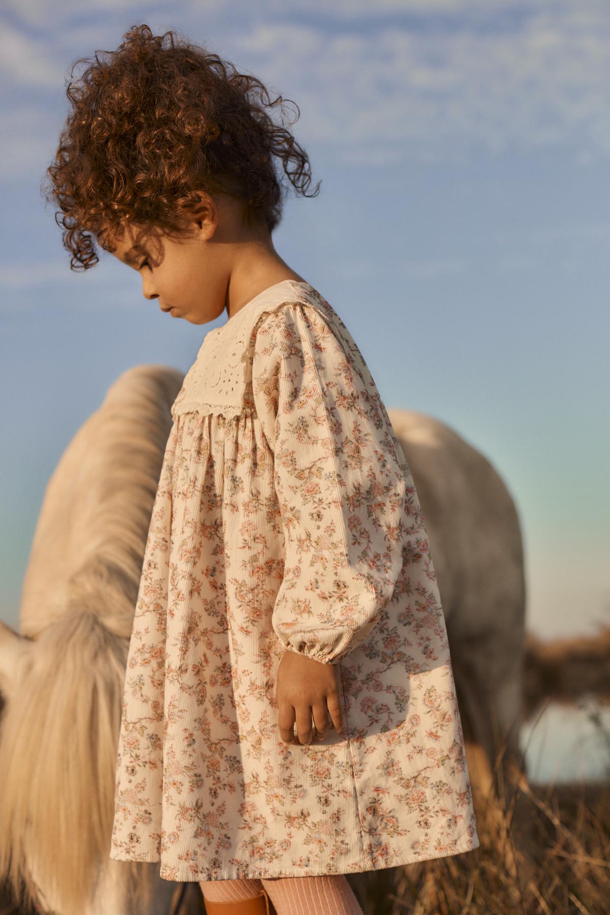 Louise Misha Arinola Dress in Carnation Vale Cream, detail view