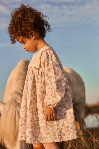 Louise Misha Arinola Dress in Carnation Vale Cream, detail view