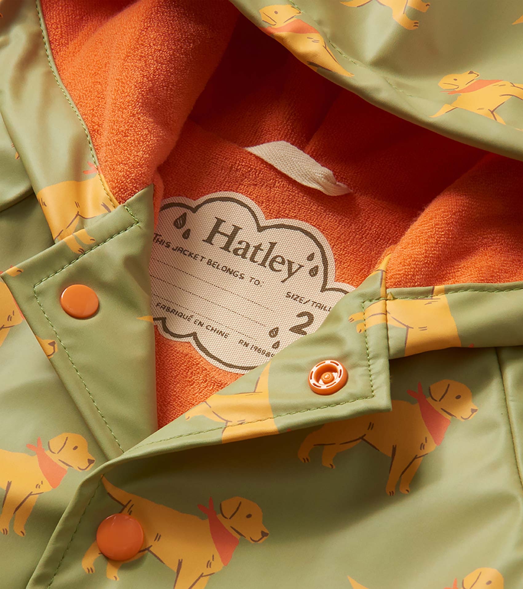 Hatley Baby &amp; Toddler Boys Camping Puppy Button-Up Rain Jacket