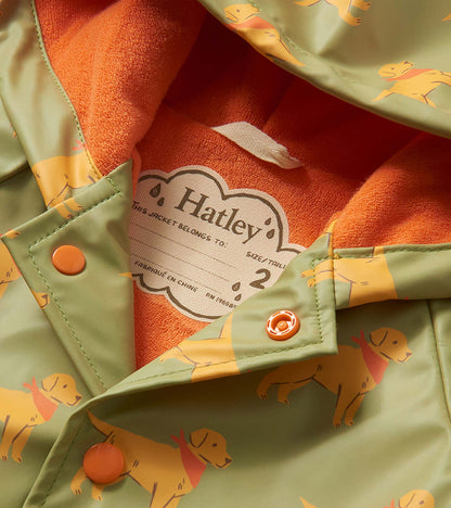 Hatley Baby &amp; Toddler Boys Camping Puppy Button-Up Rain Jacket