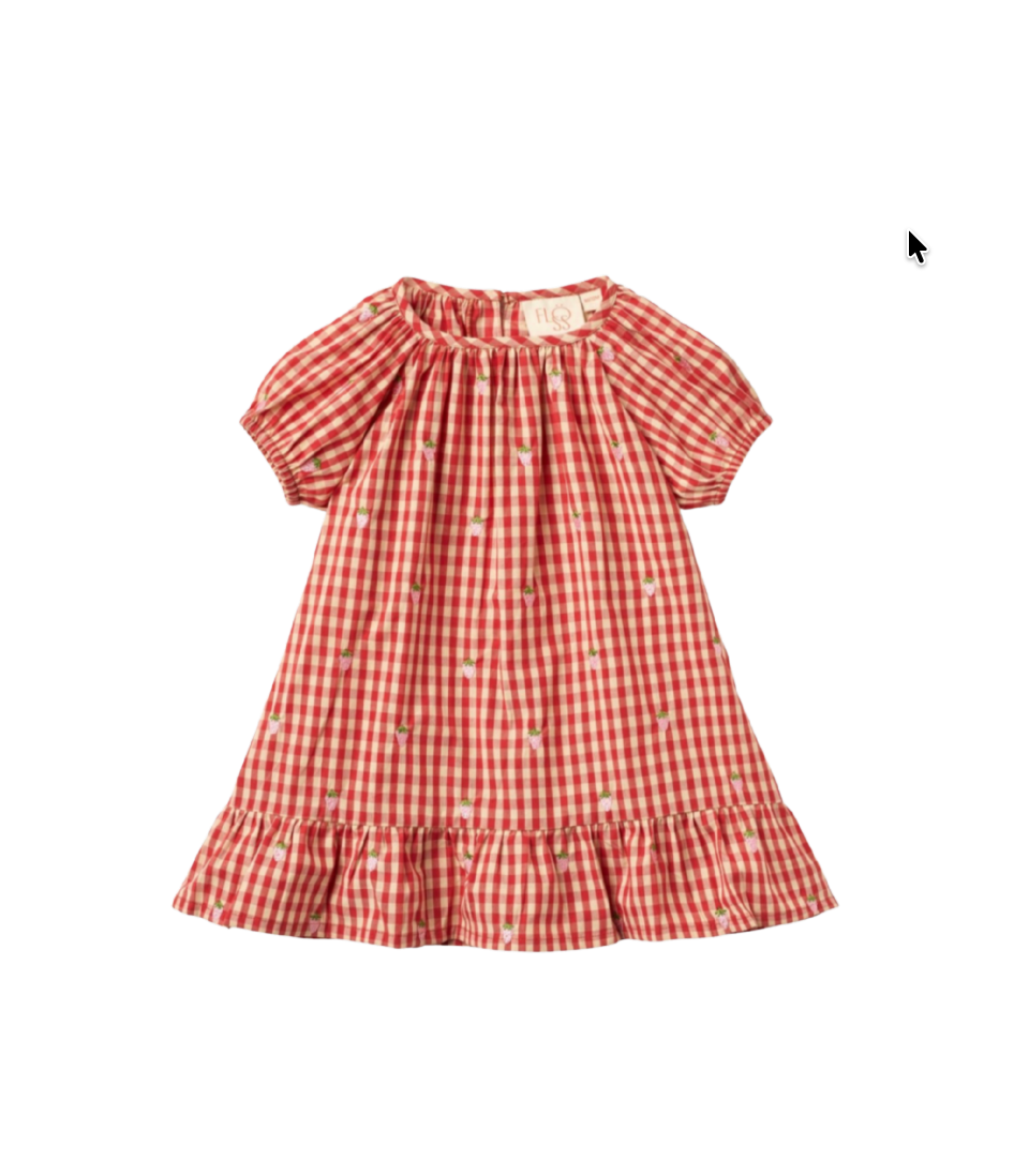 Flöss Molly Pineberry Dress - Red Berry Gingham