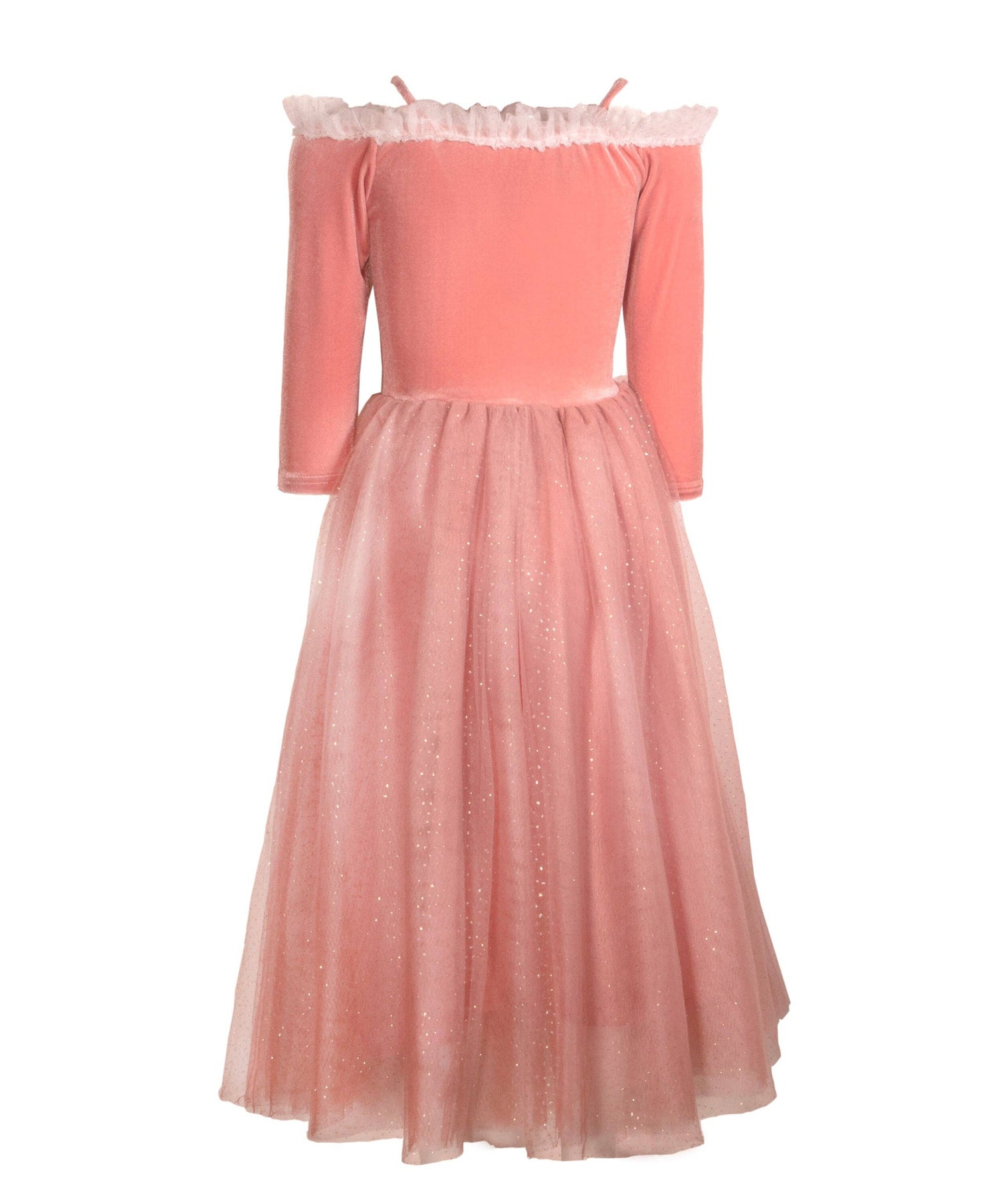 Joy Costumes Briar Rose Costume