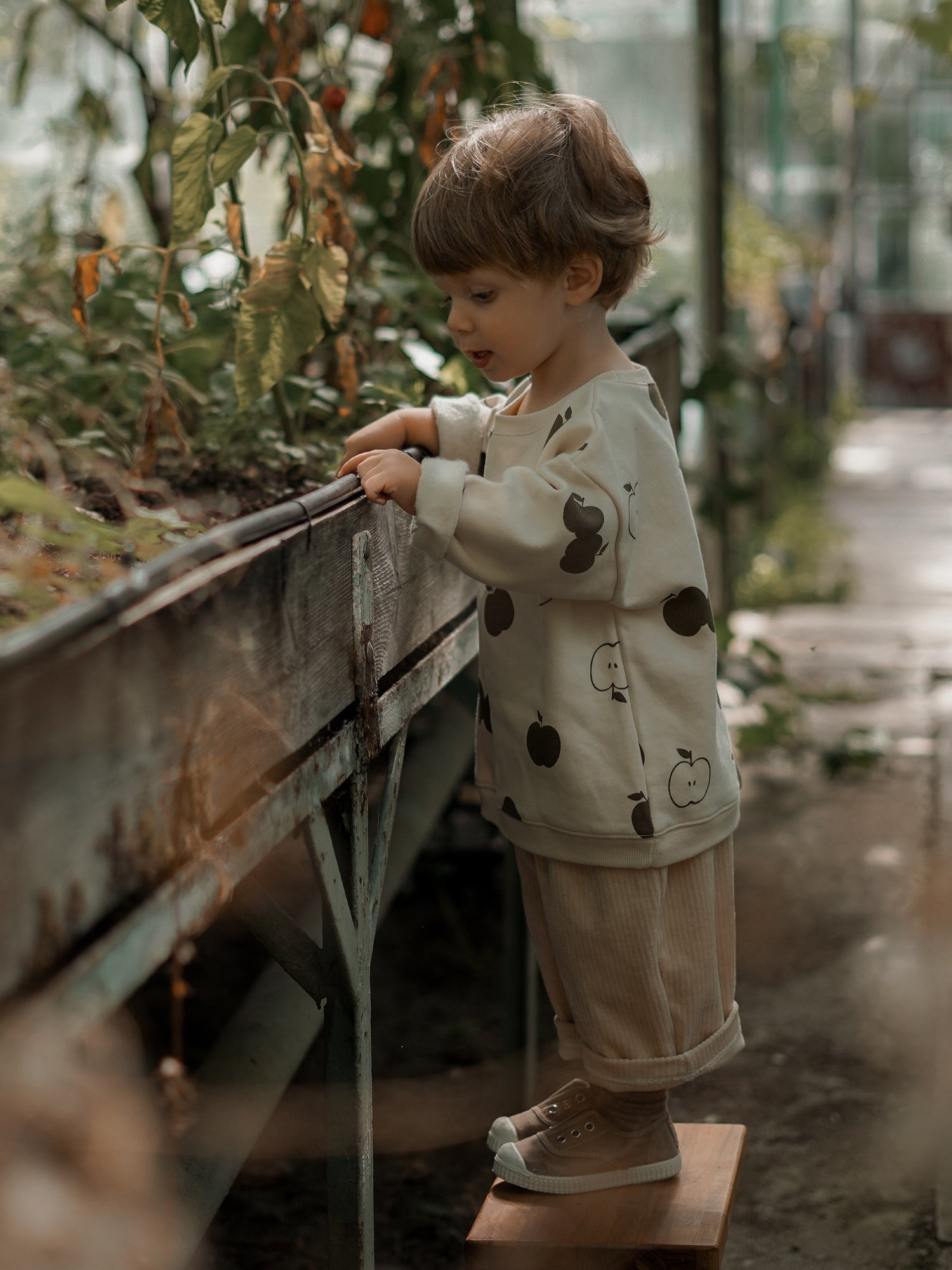 Basil Apple Orchard Sweatshirt Organic Zoo - enjoykidsus