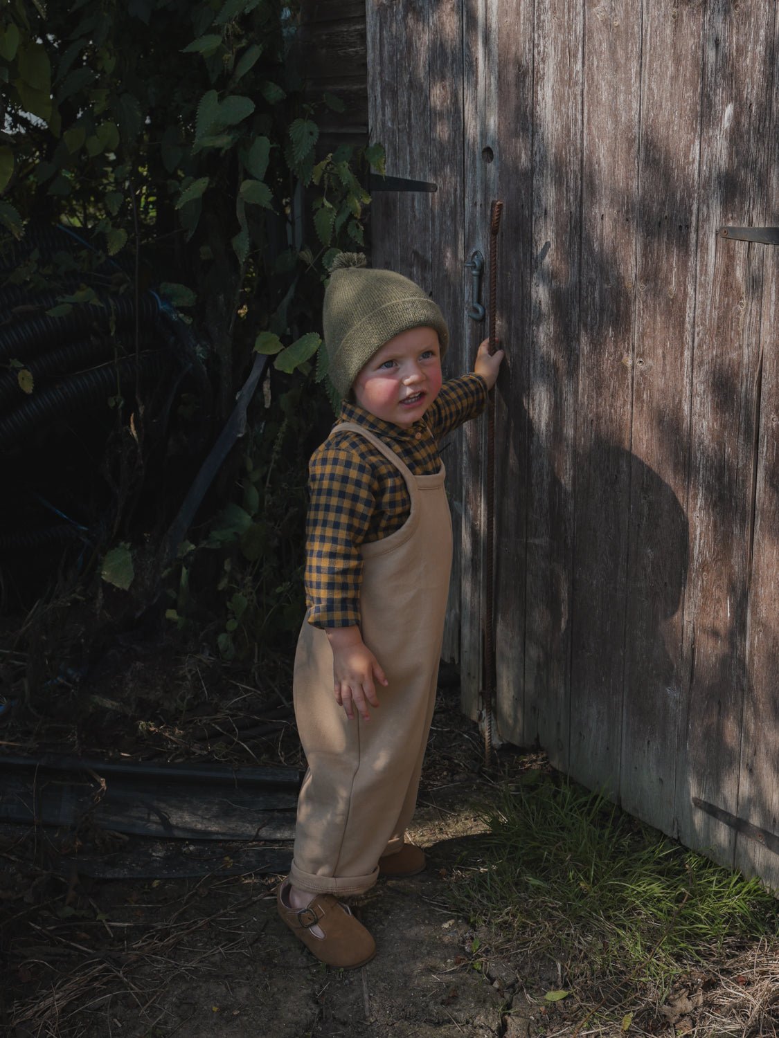 Biscuit Dungarees Organic Zoo - enjoykidsus