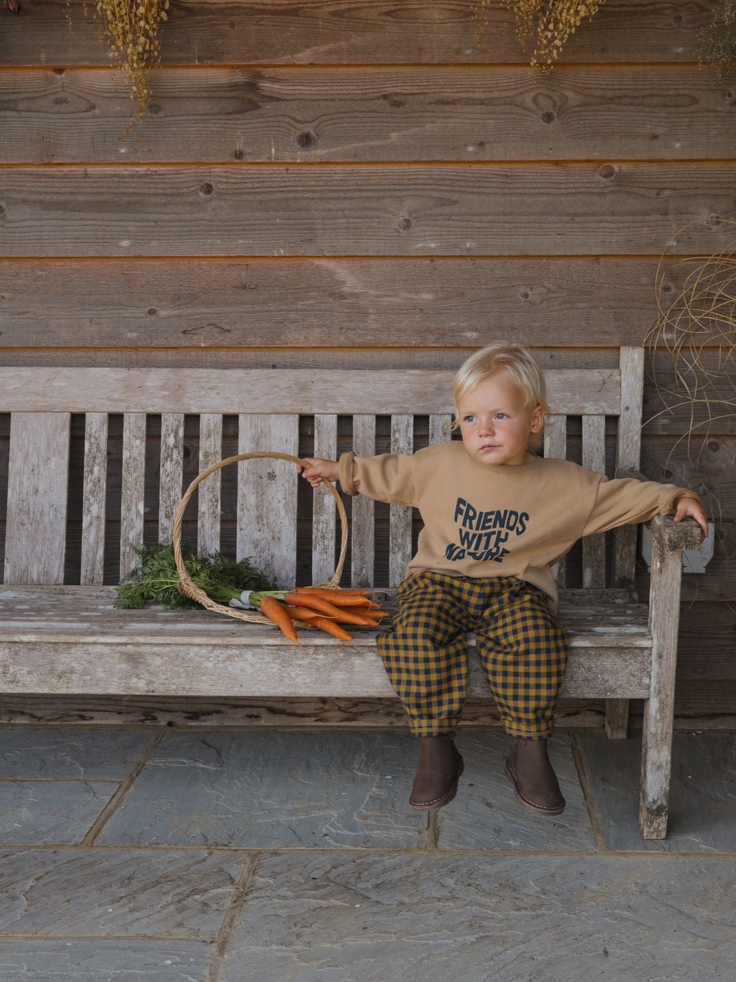 Blueberry Gingham Carrot Pants Organic Zoo - enjoykidsus