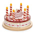 Chocolate Birthday Cake Tender Leaf Toys