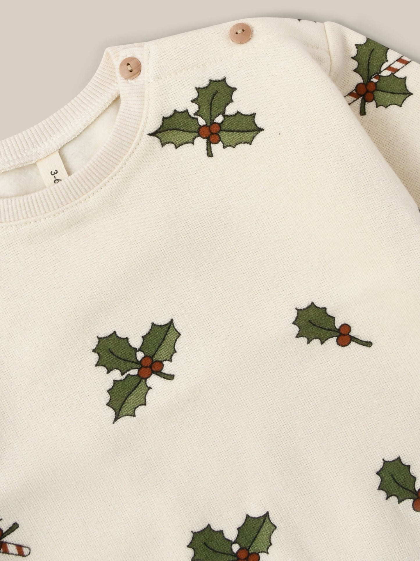 Christmas Holly Sweatshirt Organic Zoo - enjoykidsus