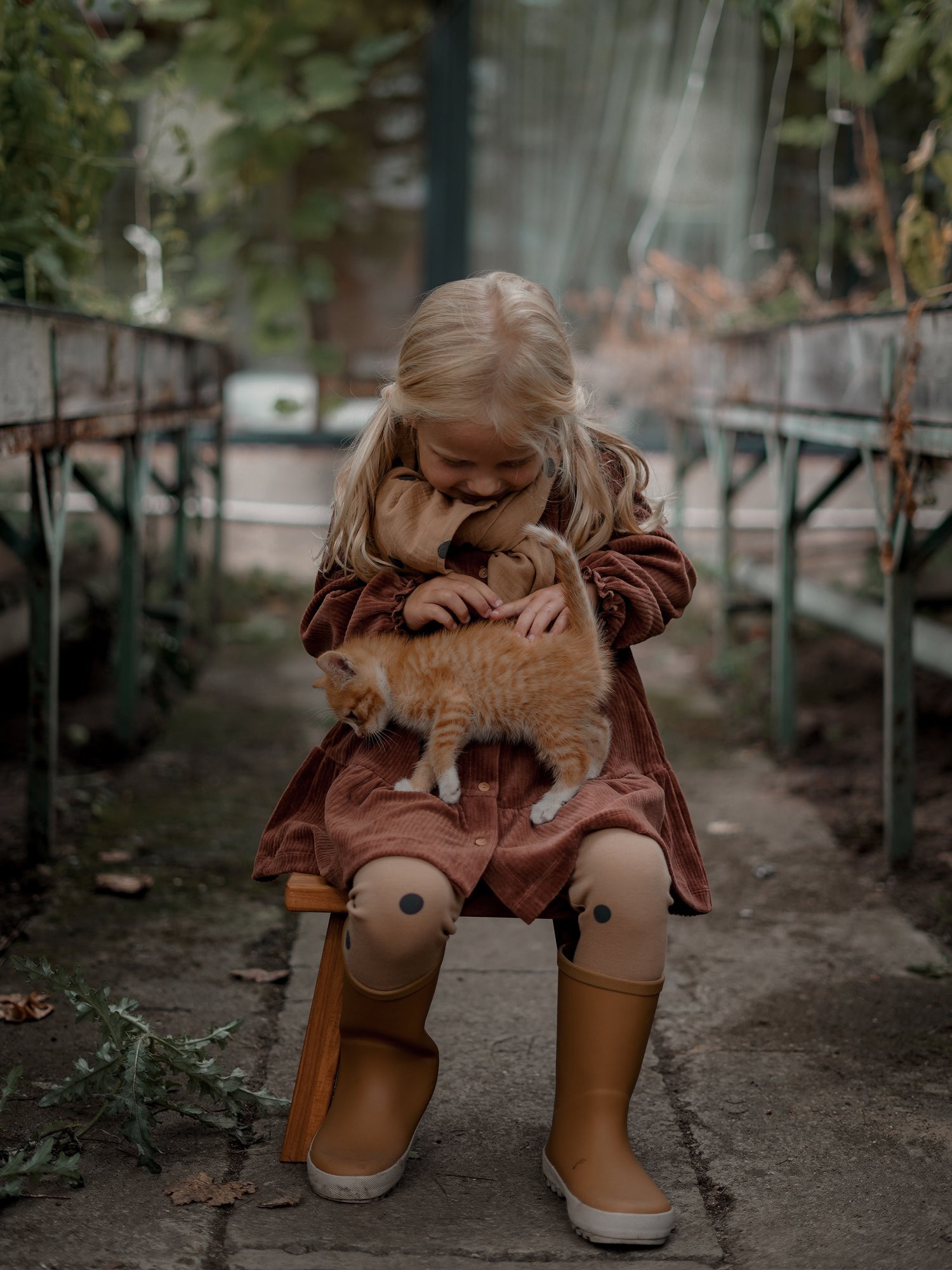 Organic Zoo Cinnamon Picnic Dress Organic Zoo