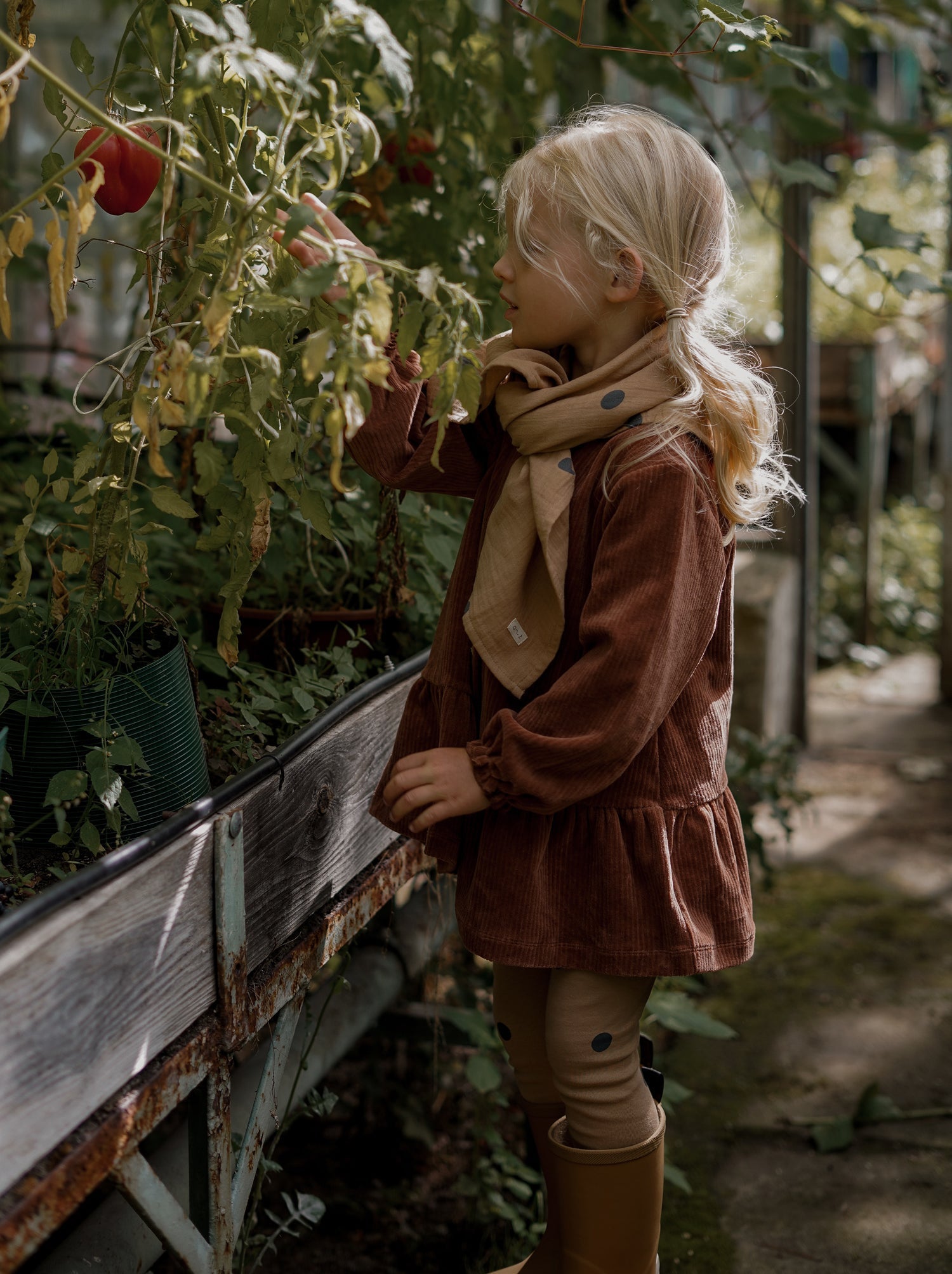 Organic Zoo Cinnamon Picnic Dress Organic Zoo