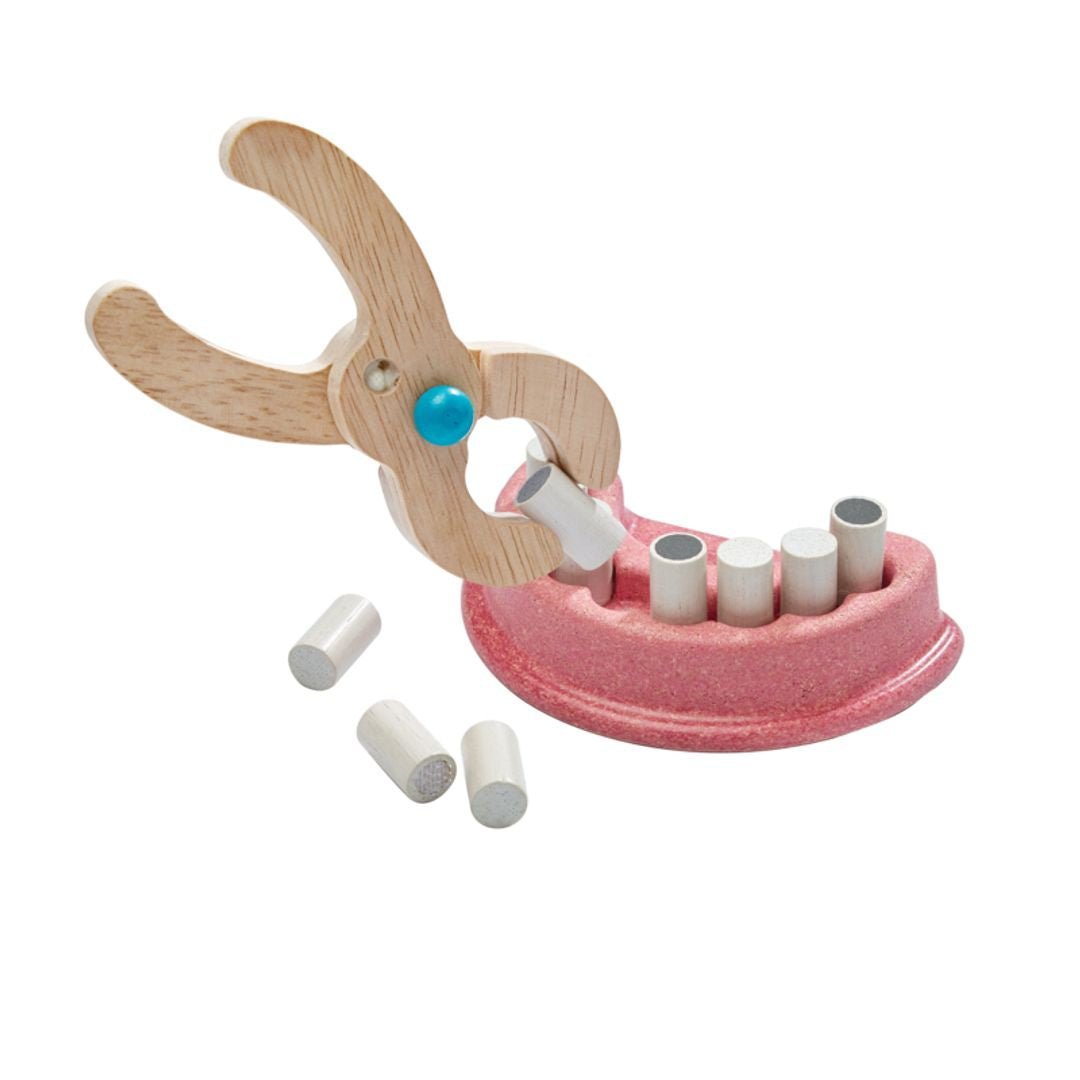 Dentist Set PlanToys - enjoykidsus