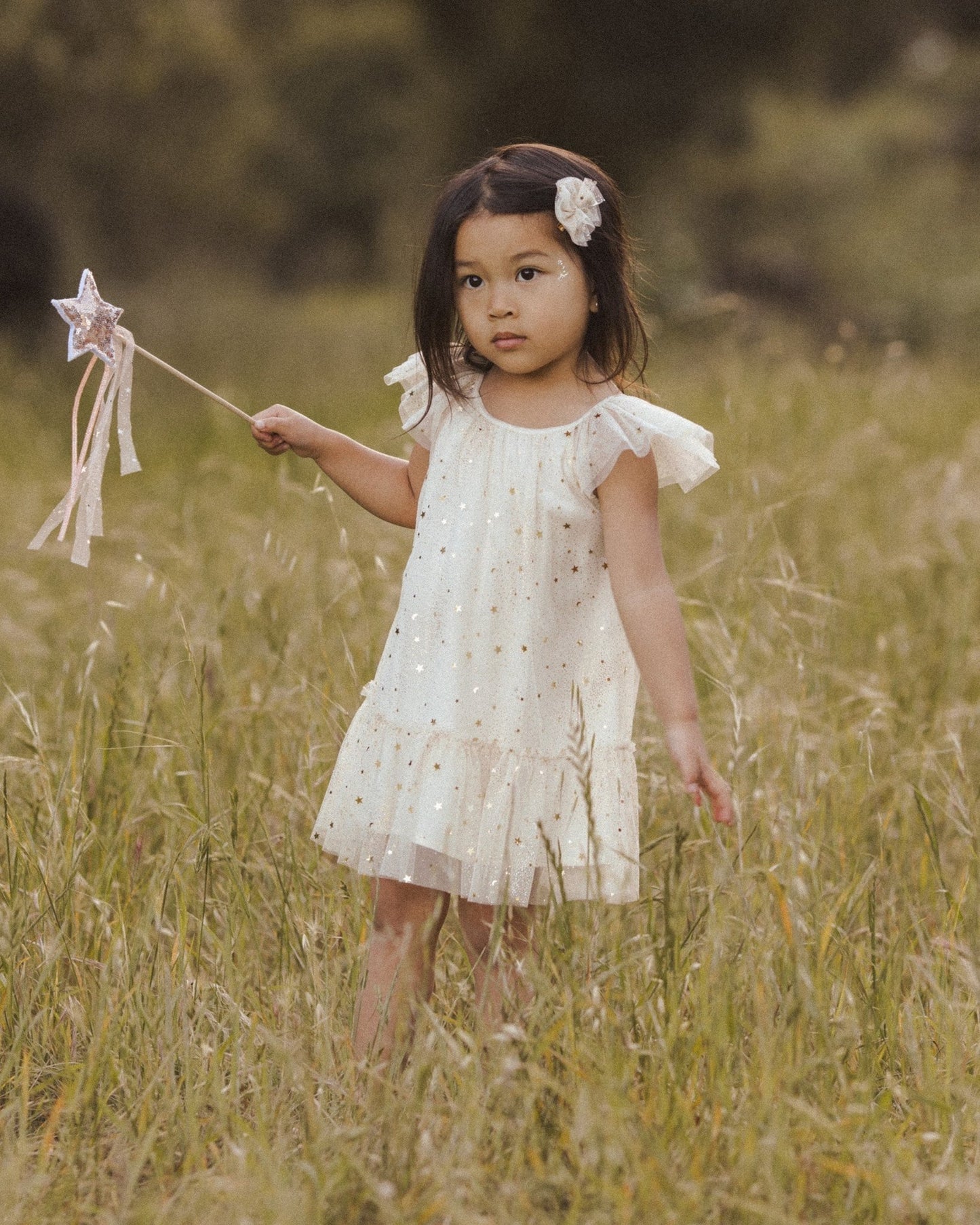 Edie Dress || Champagne Stars Noralee - enjoykidsus