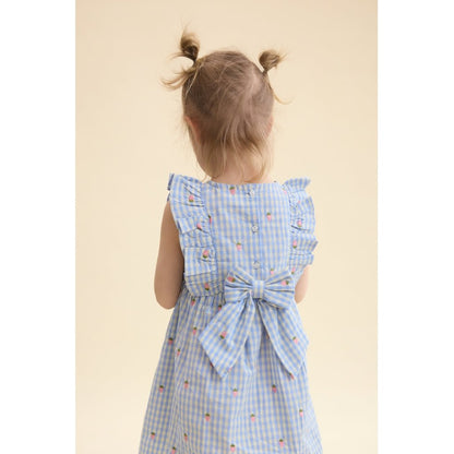 Flöss Mille SL Dress - Sky Berry Gingham

